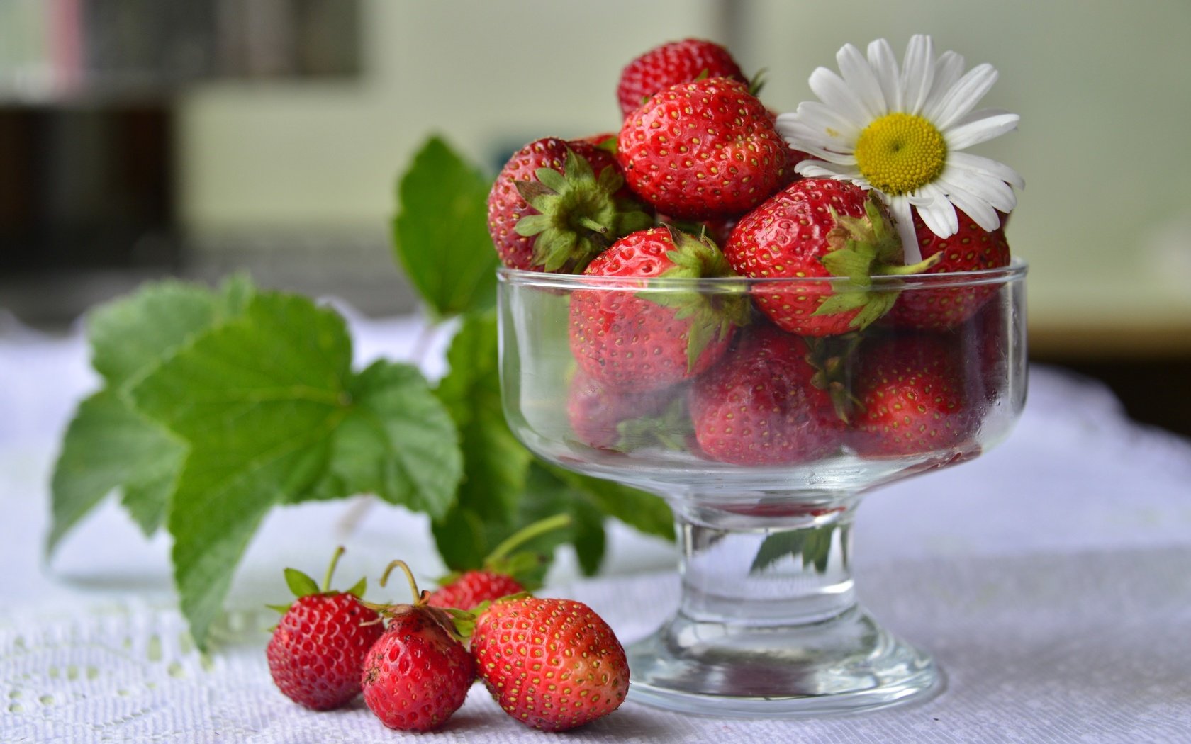 Обои клубника, красный, ромашка, ягоды, вазочка, strawberry, red, daisy, berries, vase разрешение 3300x2145 Загрузить