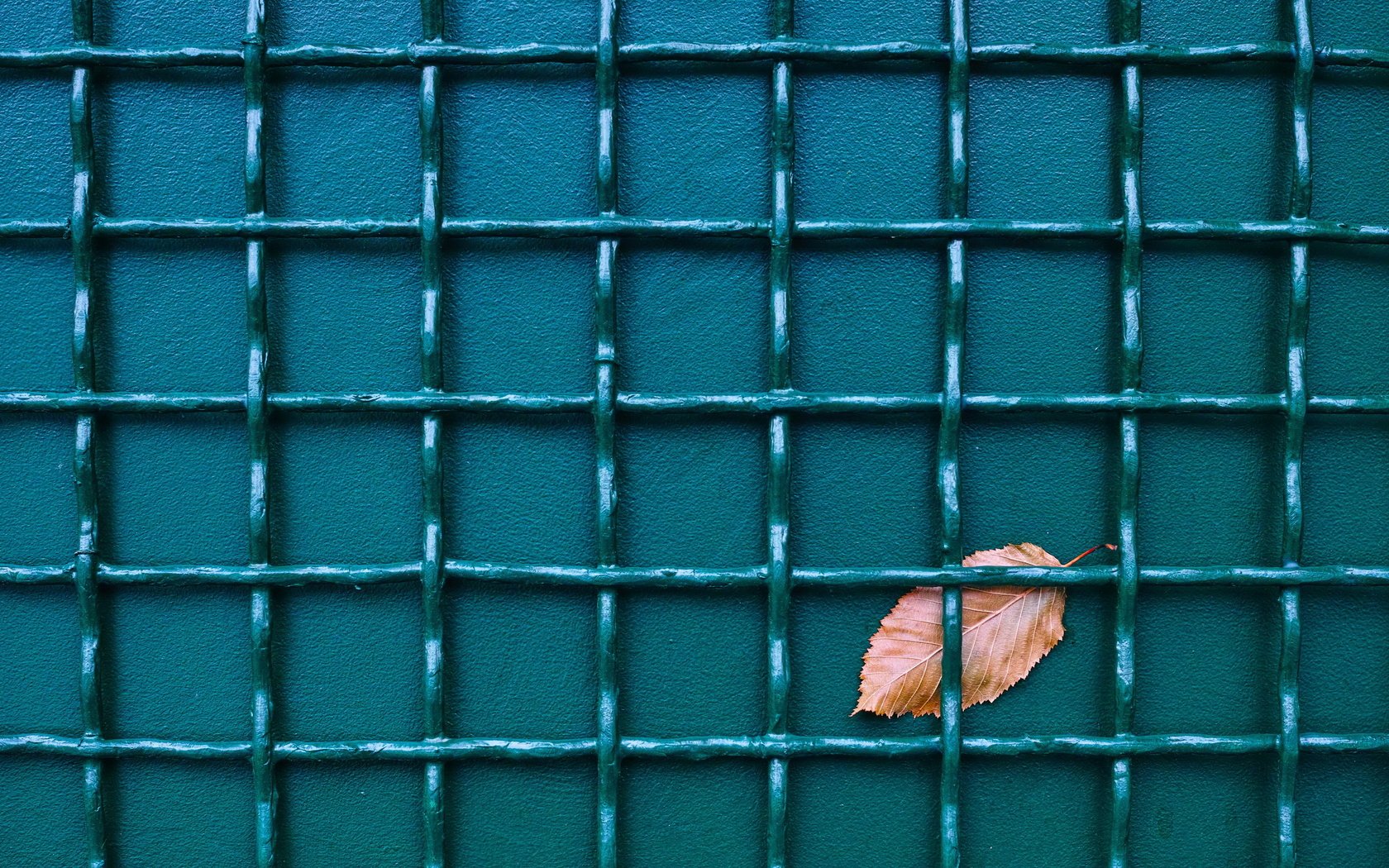 Обои фон, забор, лист, сетка, background, the fence, sheet, mesh разрешение 4483x2890 Загрузить