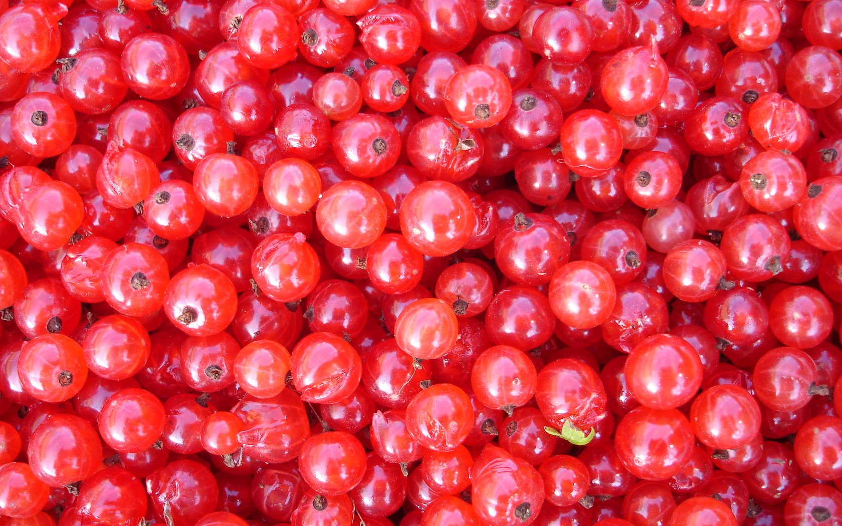 Обои еда, красная, ягоды, смородина, food, red, berries, currants разрешение 2592x1944 Загрузить