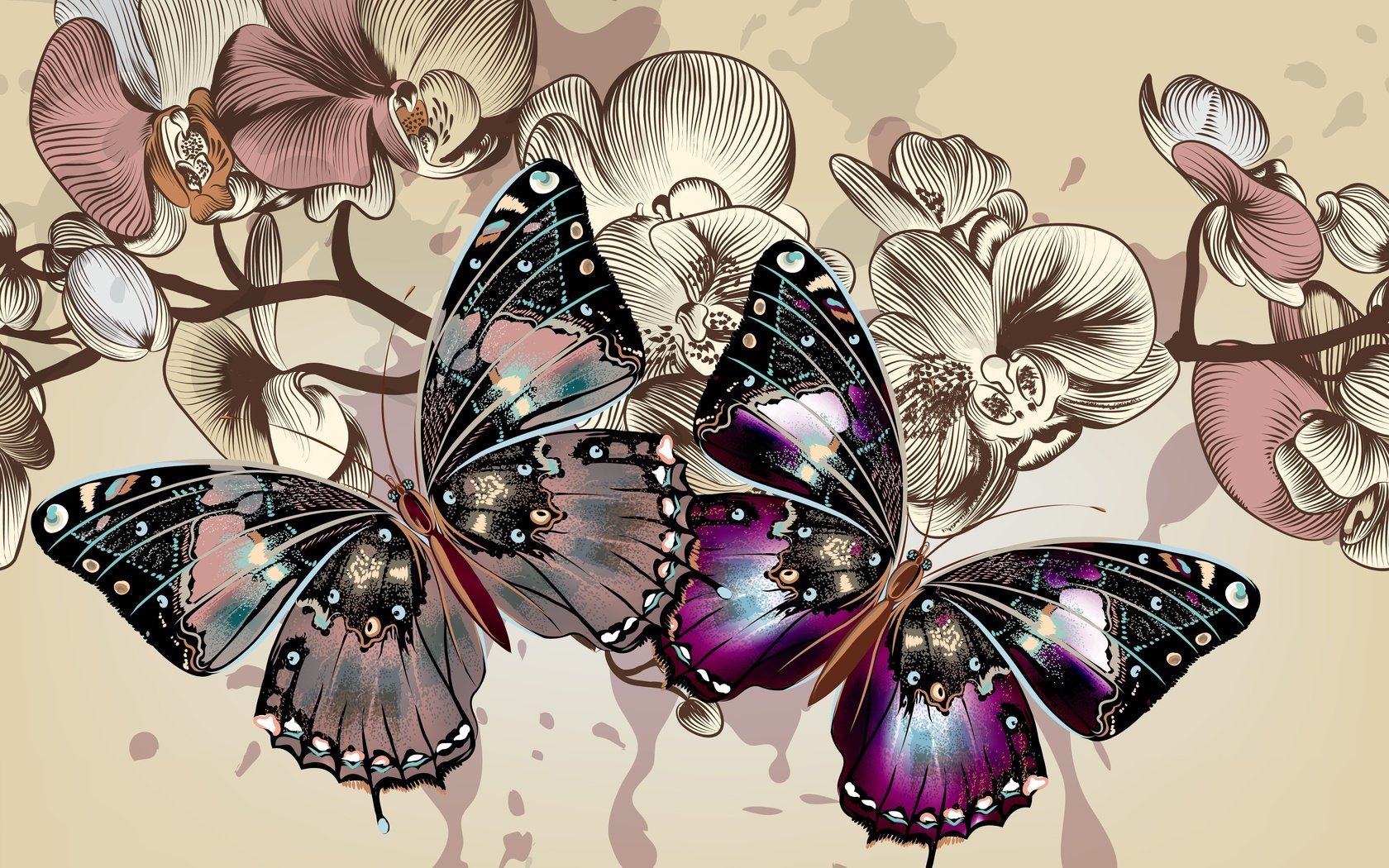 Обои цветы, цвета, фон, вектор, крылья, бабочки, flowers, color, background, vector, wings, butterfly разрешение 4992x3793 Загрузить