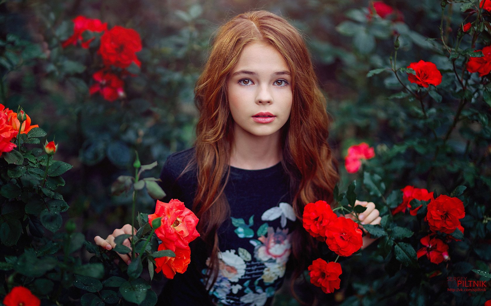 Обои цветы, девушка, настроение, розы, девочка, подросток, flowers, girl, mood, roses, teen разрешение 1920x1200 Загрузить