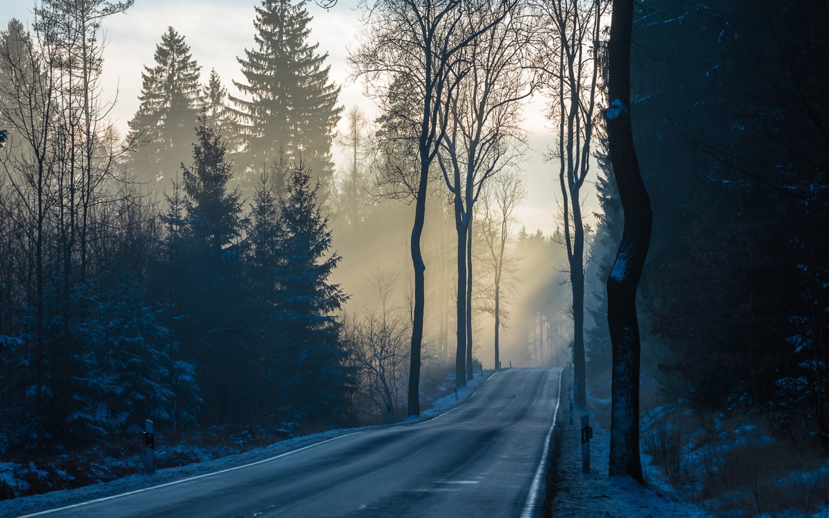Обои дорога, деревья, лес, утро, туман, road, trees, forest, morning, fog разрешение 1920x1207 Загрузить