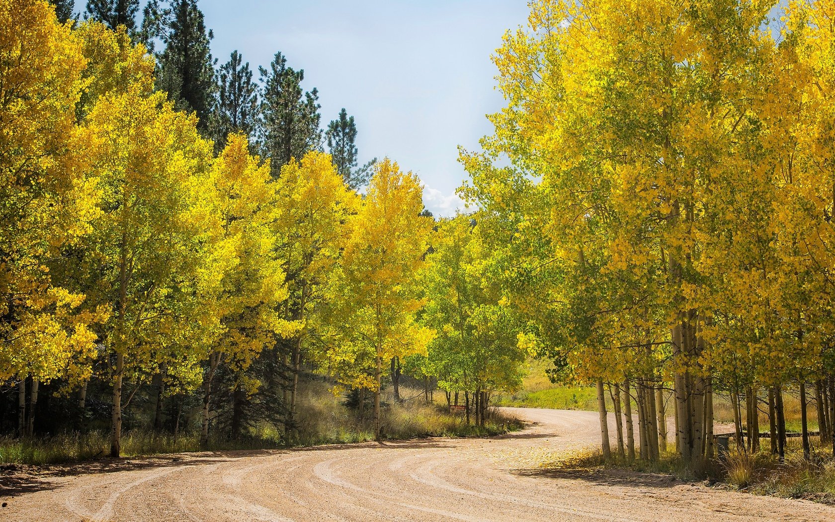 Обои дорога, деревья, лес, осень, сша, колорадо, осина, аспен, road, trees, forest, autumn, usa, colorado, aspen разрешение 3432x1600 Загрузить