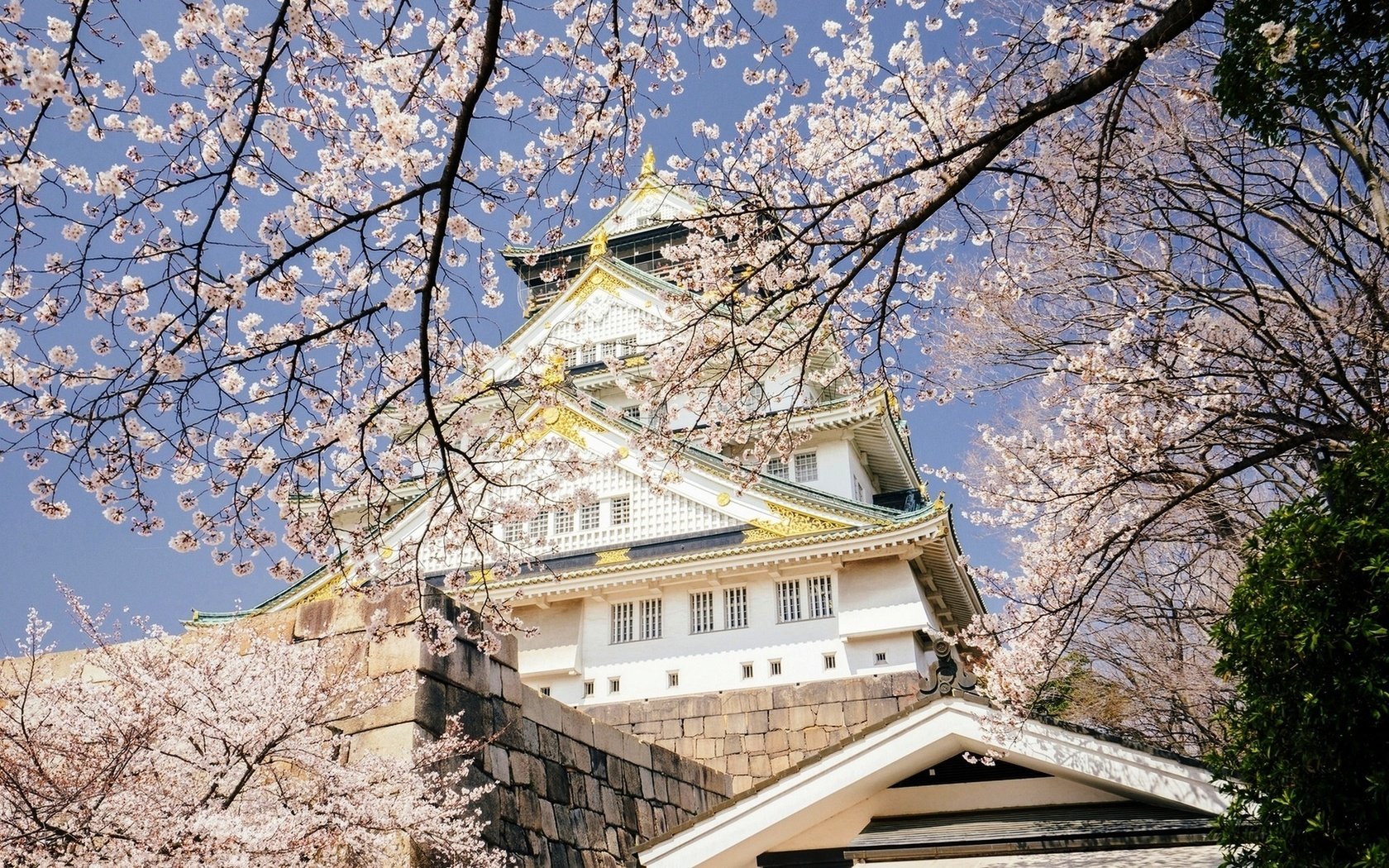 Обои небо, цветение, япония, весна, дворец, осака, the sky, flowering, japan, spring, palace, osaka разрешение 1920x1282 Загрузить