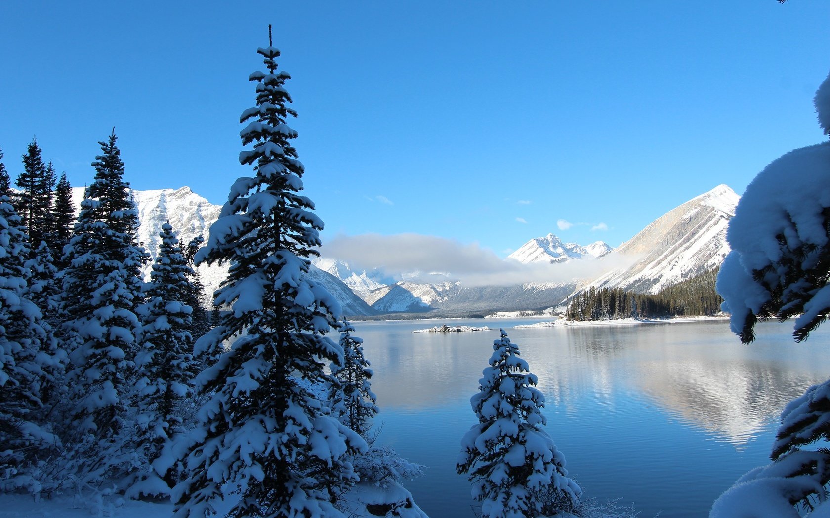 Обои небо, деревья, озеро, горы, снег, зима, ели, the sky, trees, lake, mountains, snow, winter, ate разрешение 2560x1600 Загрузить