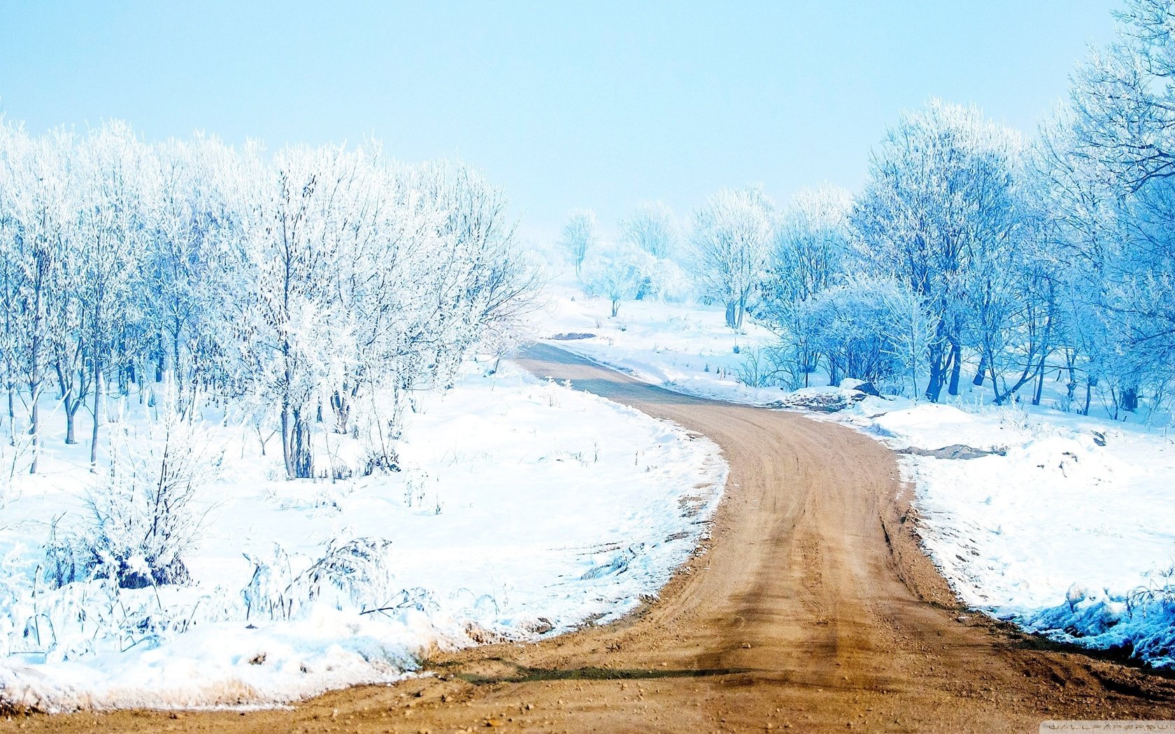 Обои дорога, деревья, снег, лес, зима, путь, road, trees, snow, forest, winter, the way разрешение 2560x1440 Загрузить