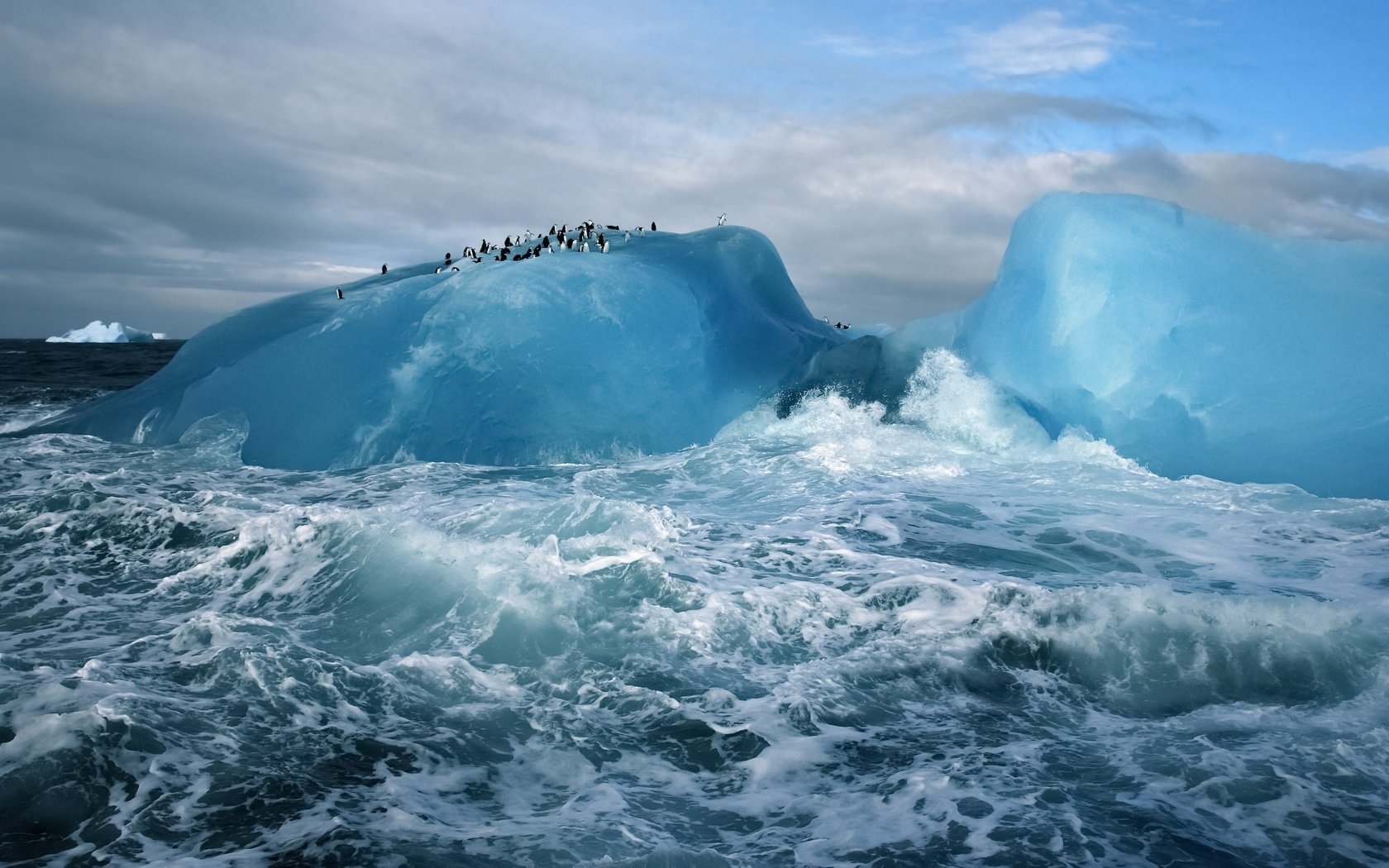 Обои океан, антарктида, пингвины, ледник, the ocean, antarctica, penguins, glacier разрешение 3200x2000 Загрузить