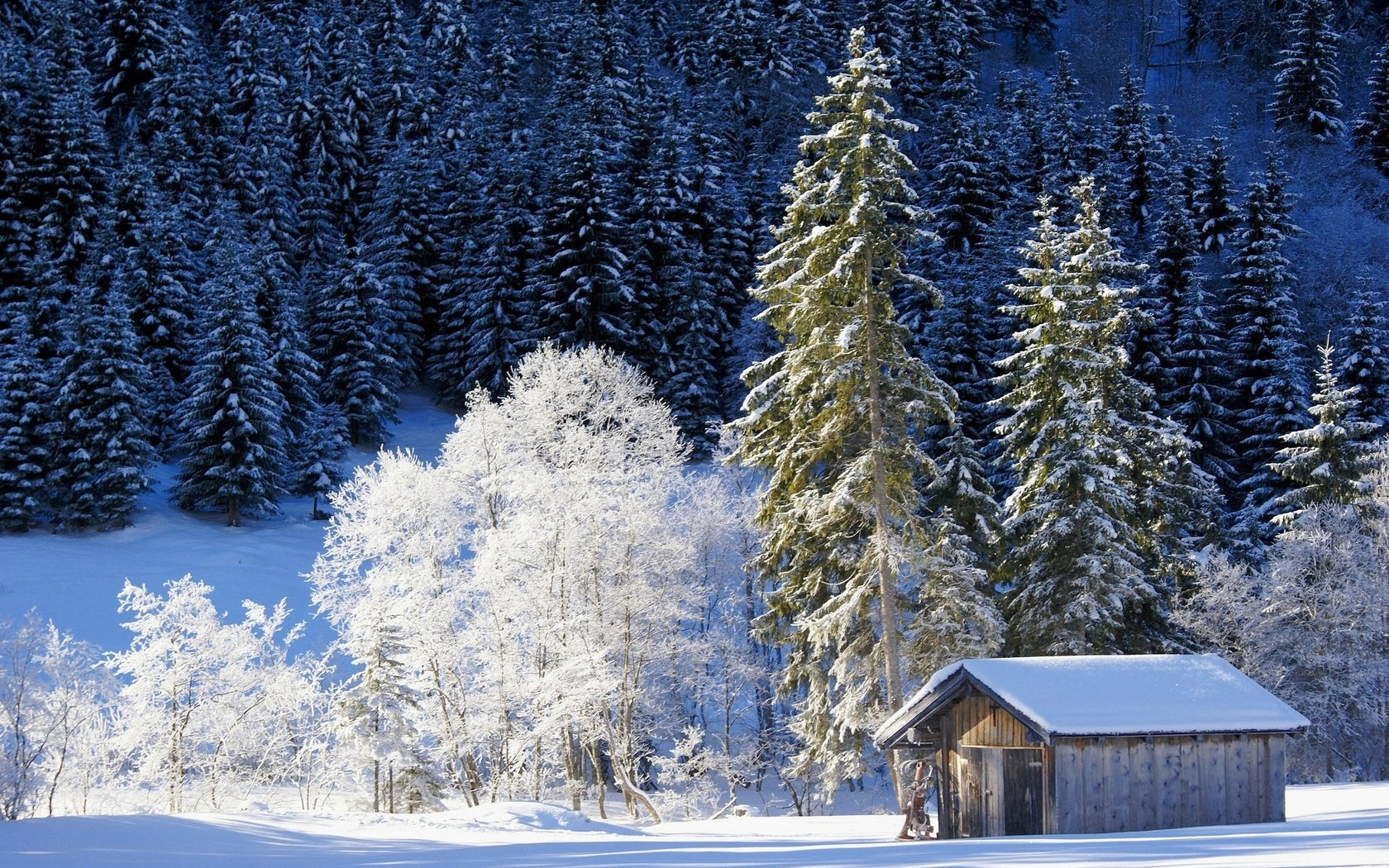 Обои деревья, снег, природа, лес, зима, домик, германия, бавария, trees, snow, nature, forest, winter, house, germany, bayern разрешение 2048x1369 Загрузить