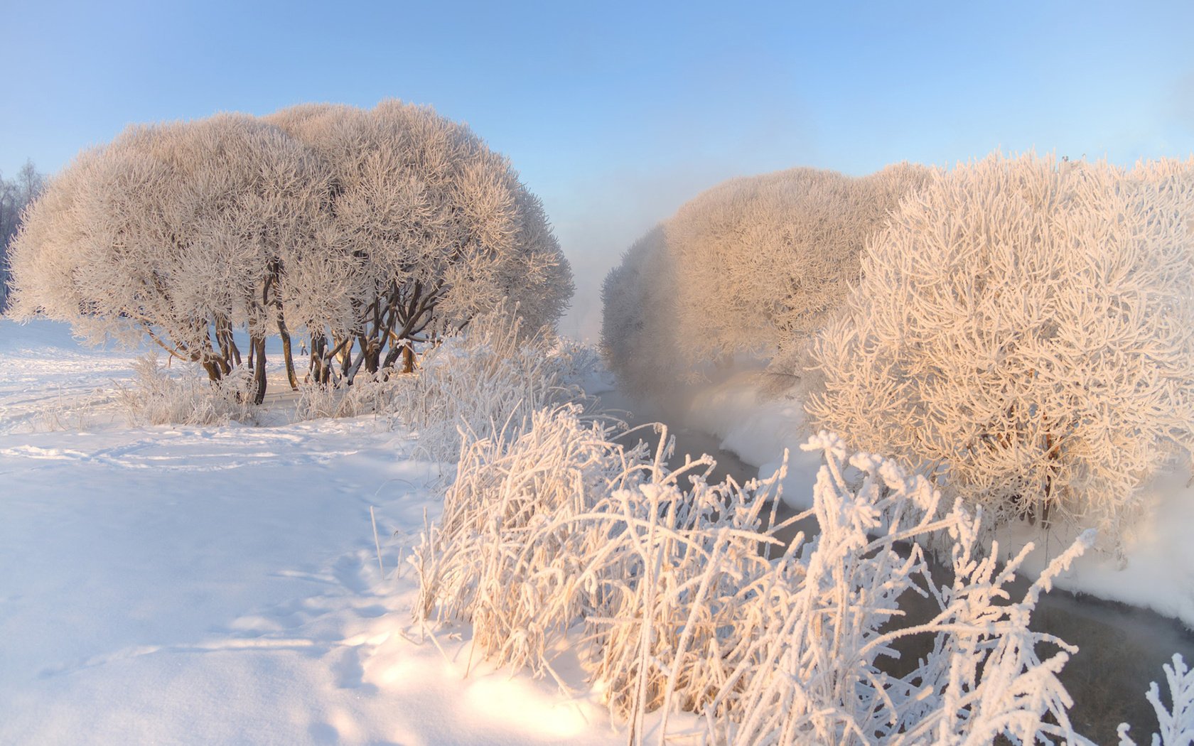 Обои небо, деревья, снег, природа, зима, мороз, иней, эдуард гордеев, the sky, trees, snow, nature, winter, frost, eduard gordeev разрешение 1920x1200 Загрузить