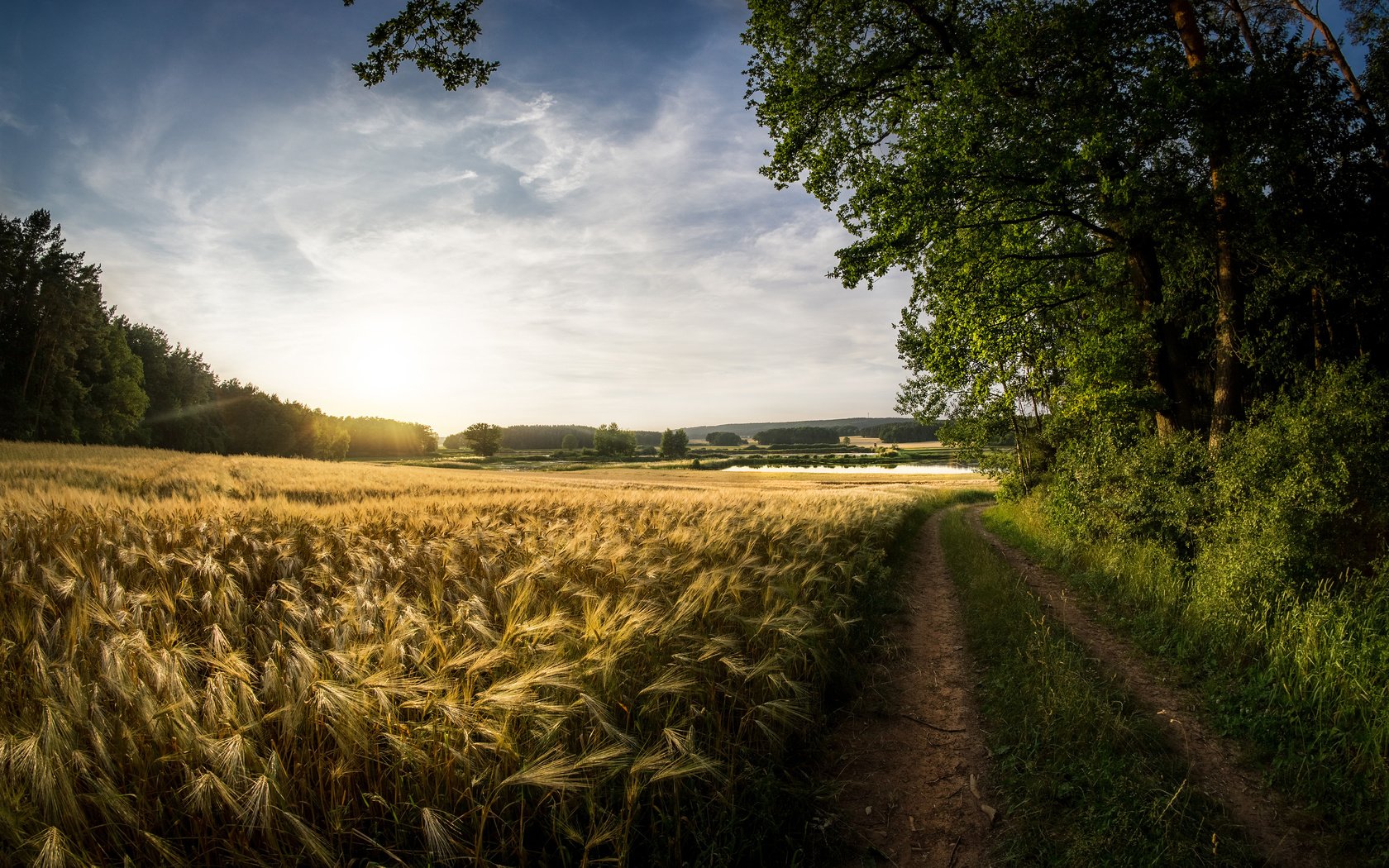 Обои небо, облака, природа, поле, лето, пшеница, следы, the sky, clouds, nature, field, summer, wheat, traces разрешение 3840x2400 Загрузить