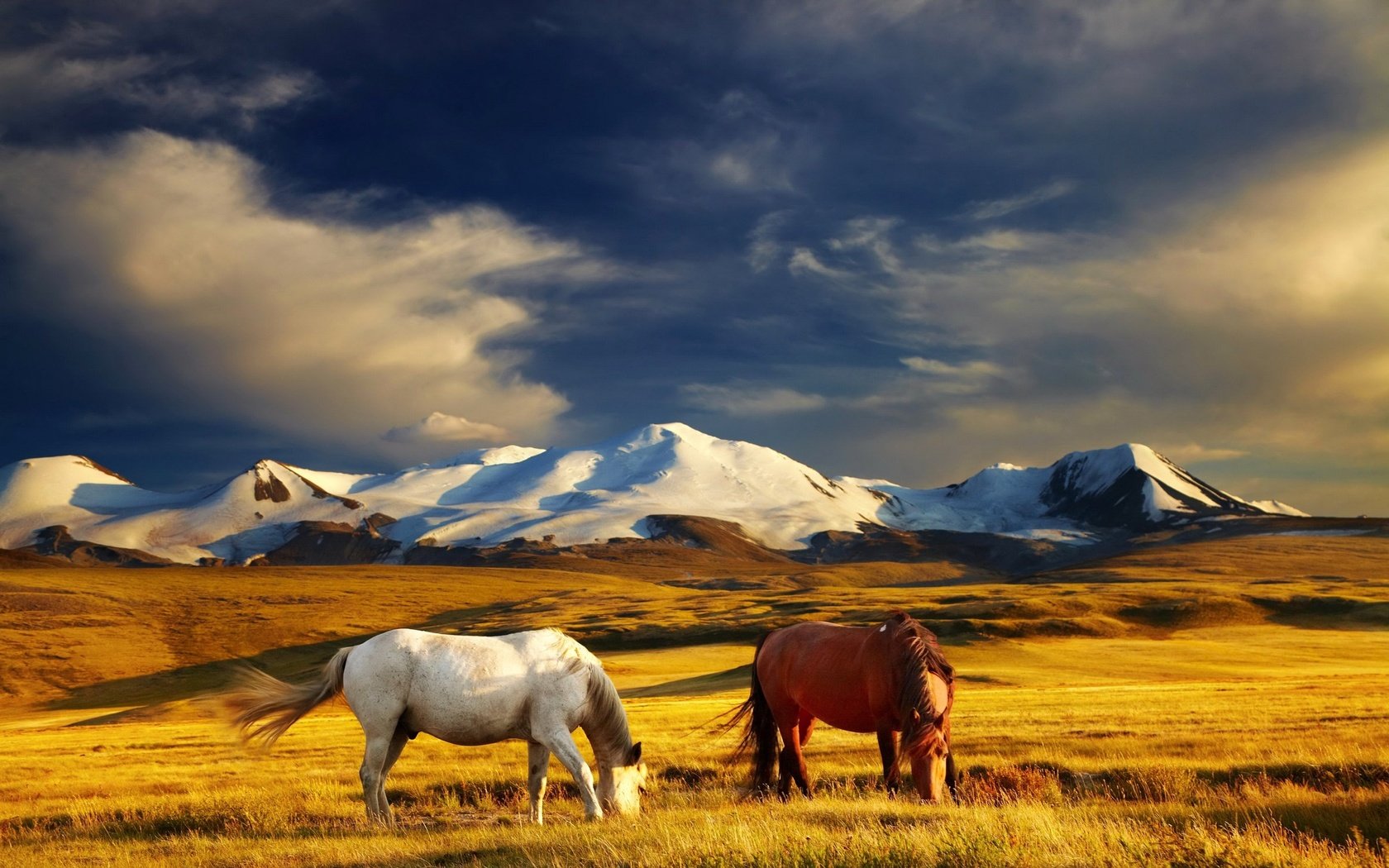 Обои небо, трава, облака, горы, поле, лошади, кони, the sky, grass, clouds, mountains, field, horse, horses разрешение 2400x1502 Загрузить