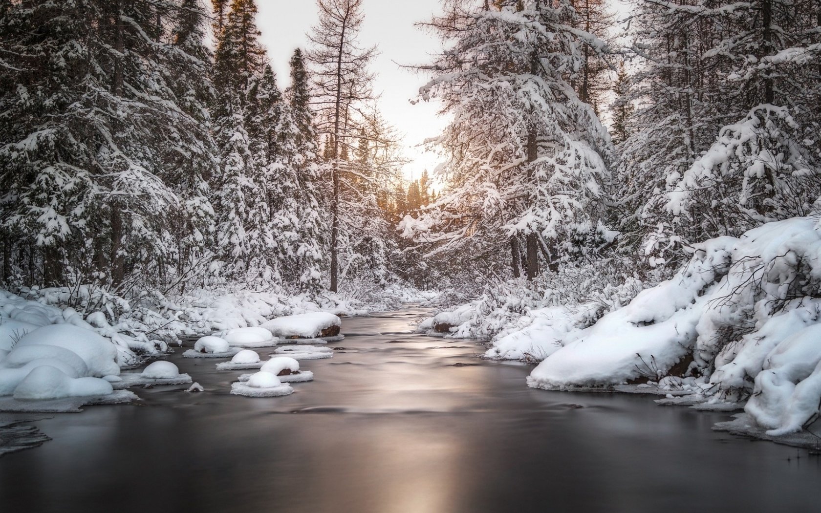 Обои деревья, река, снег, природа, лес, зима, trees, river, snow, nature, forest, winter разрешение 1920x1080 Загрузить