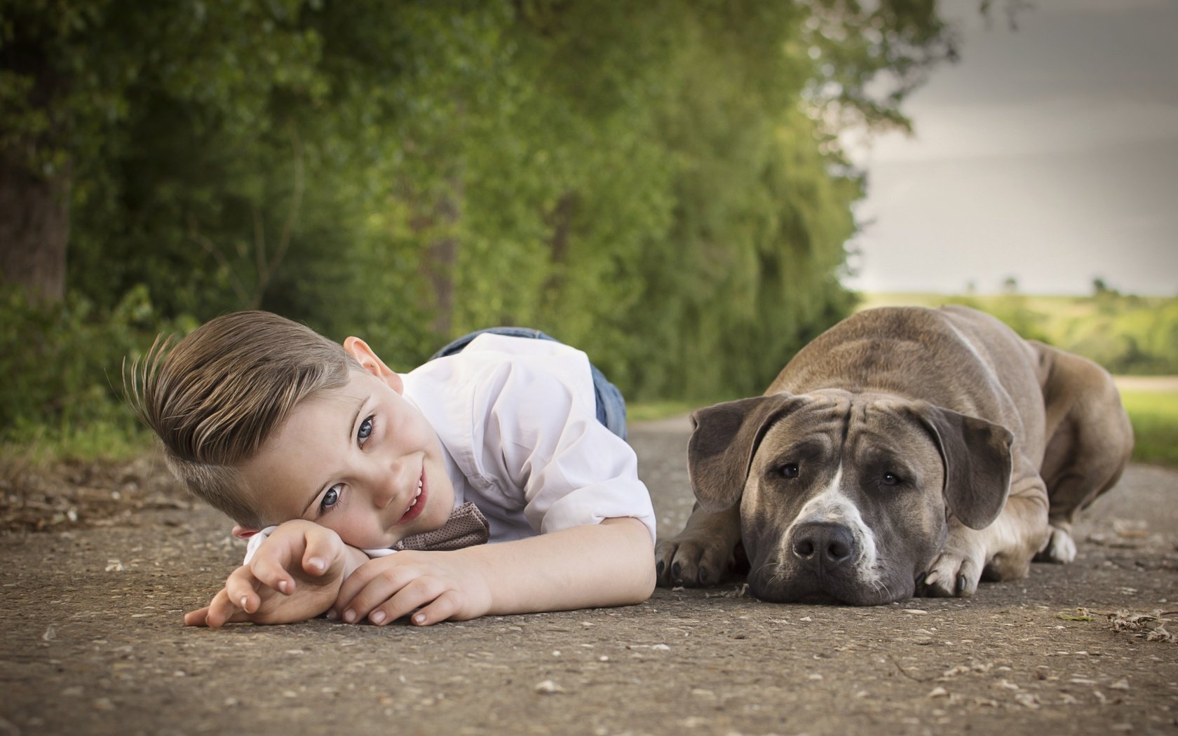 Обои улыбка, собака, ребенок, мальчик, друзья, smile, dog, child, boy, friends разрешение 6000x4000 Загрузить