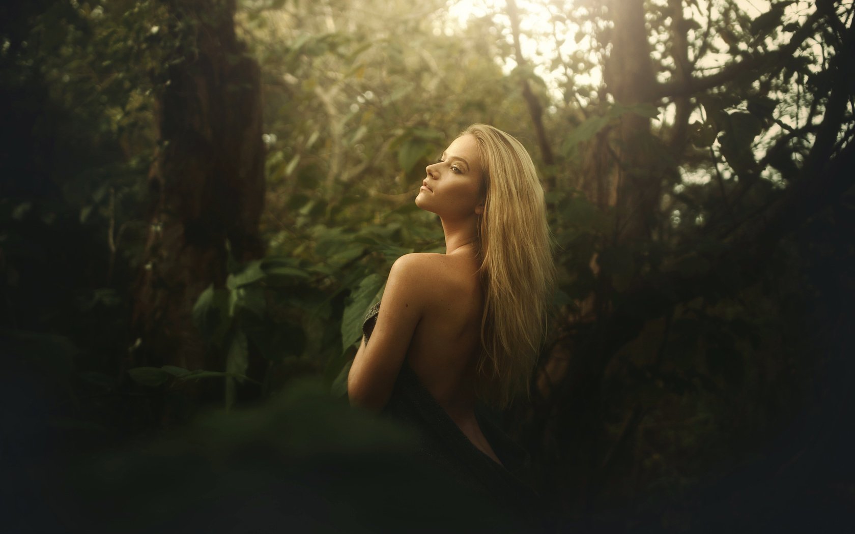 Обои лес, блондинка, взгляд, спина, tj drysdale, forest, blonde, look, back разрешение 2048x1365 Загрузить