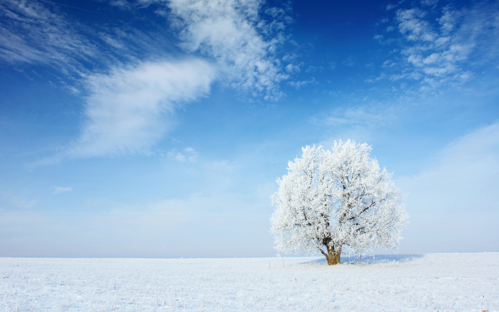 Обои небо, облака, снег, природа, дерево, зима, пейзаж, иней, the sky, clouds, snow, nature, tree, winter, landscape, frost разрешение 2880x1800 Загрузить