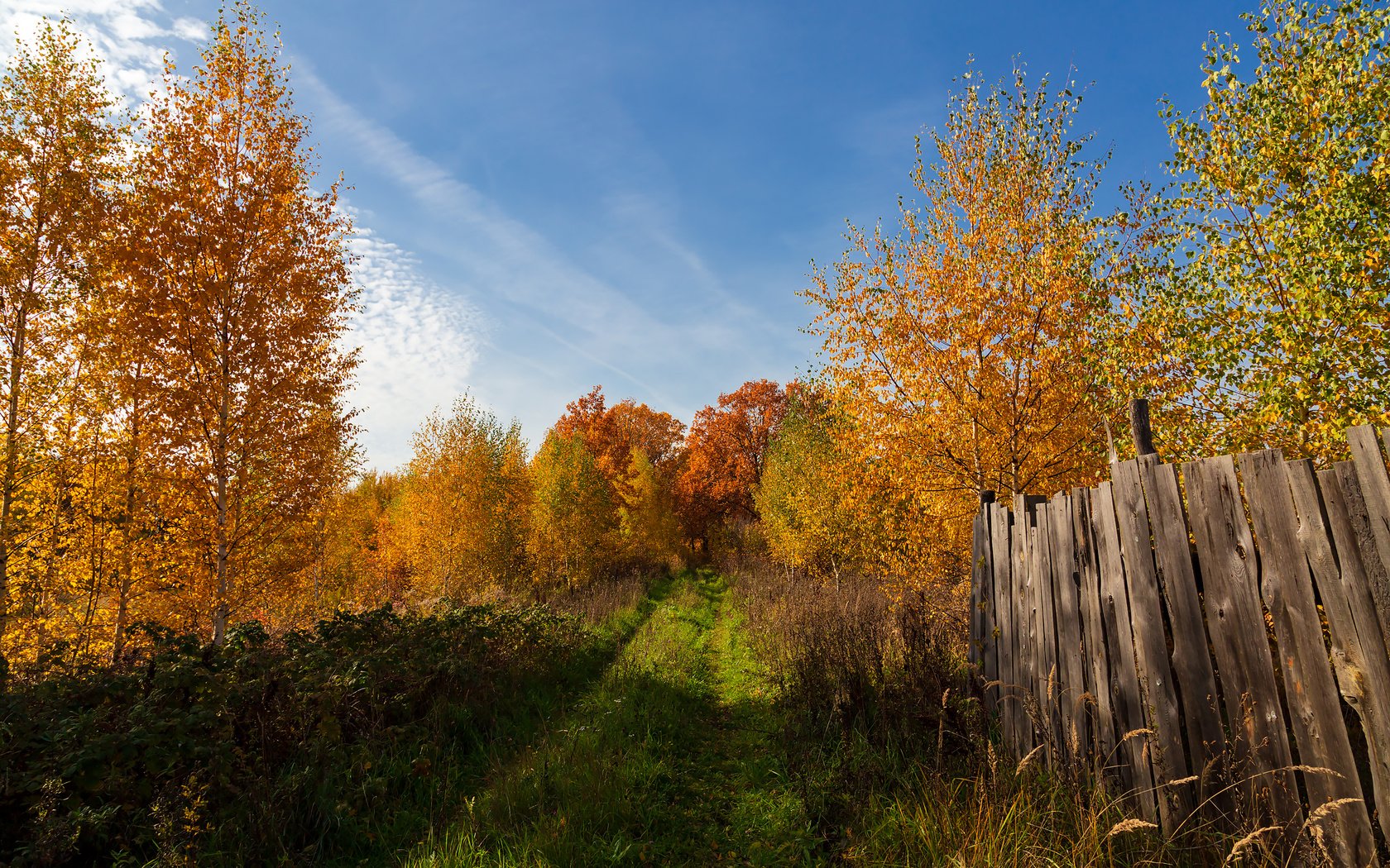 Обои деревья, пейзаж, осень, забор, trees, landscape, autumn, the fence разрешение 2304x1536 Загрузить