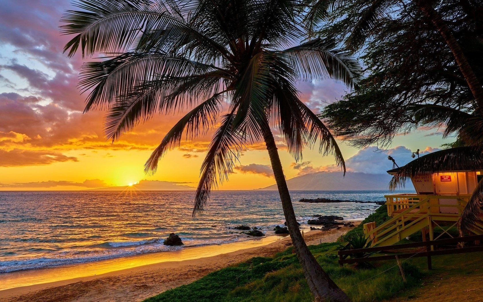 Обои океан, небо, пальма, облака, отдых, природа, закат, гавайи, пейзаж, море, горизонт, лето, the ocean, the sky, palma, clouds, stay, nature, sunset, hawaii, landscape, sea, horizon, summer разрешение 2048x1152 Загрузить
