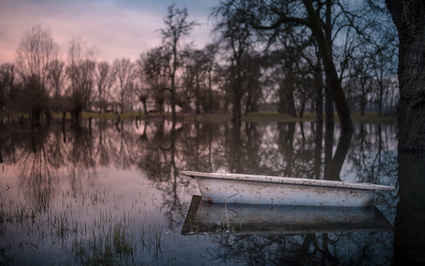 Обои природа, лужа, ванна, nature, puddle, bath разрешение 6819x4551 Загрузить