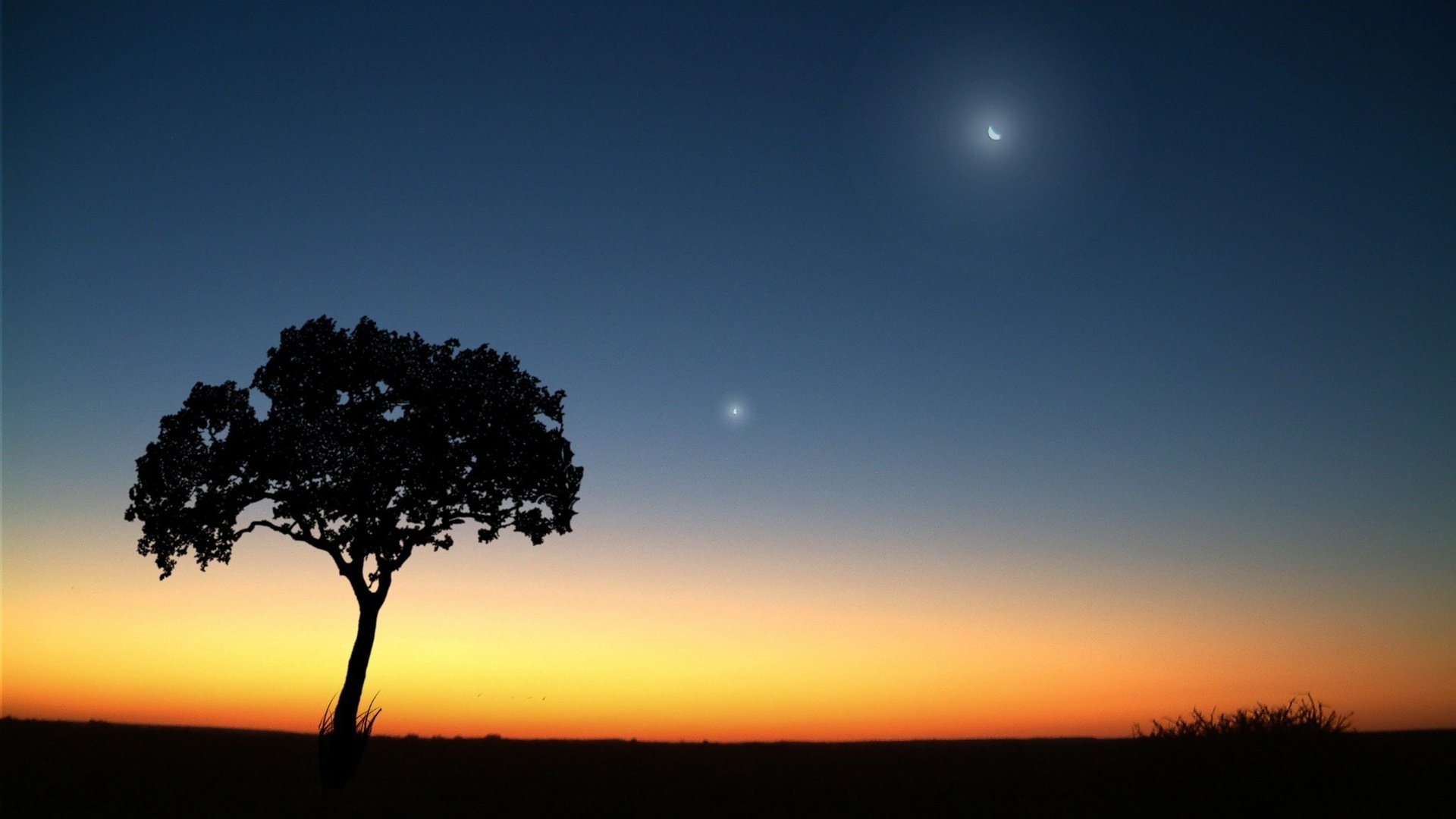 Обои вечер, дерево, луна, the evening, tree, the moon разрешение 2048x1536 Загрузить