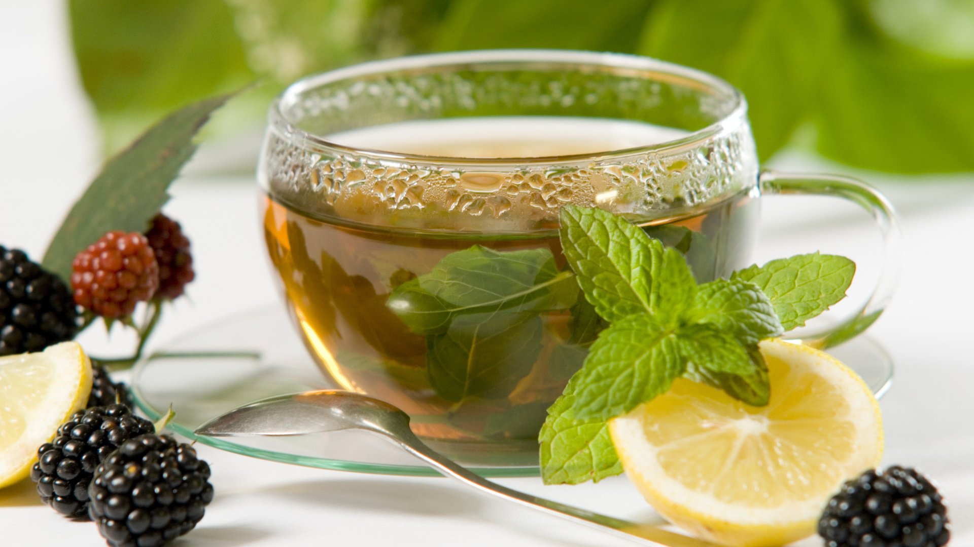 Обои зелёный, напиток, чай, чаек, чай.лимон, мята.ежевика, green, drink, tea, gulls, tea.lemon, mint.blackberry разрешение 1920x1285 Загрузить