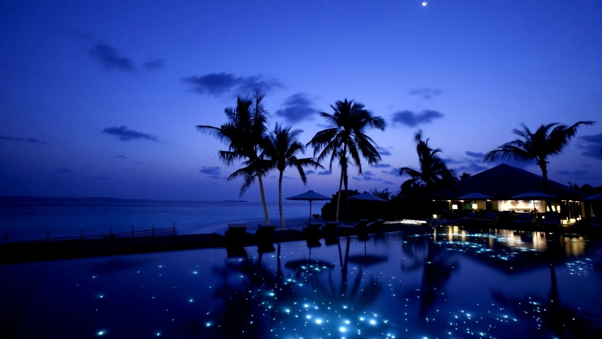 Обои небо, ночь, звезды, пальмы, the sky, night, stars, palm trees разрешение 2000x1334 Загрузить