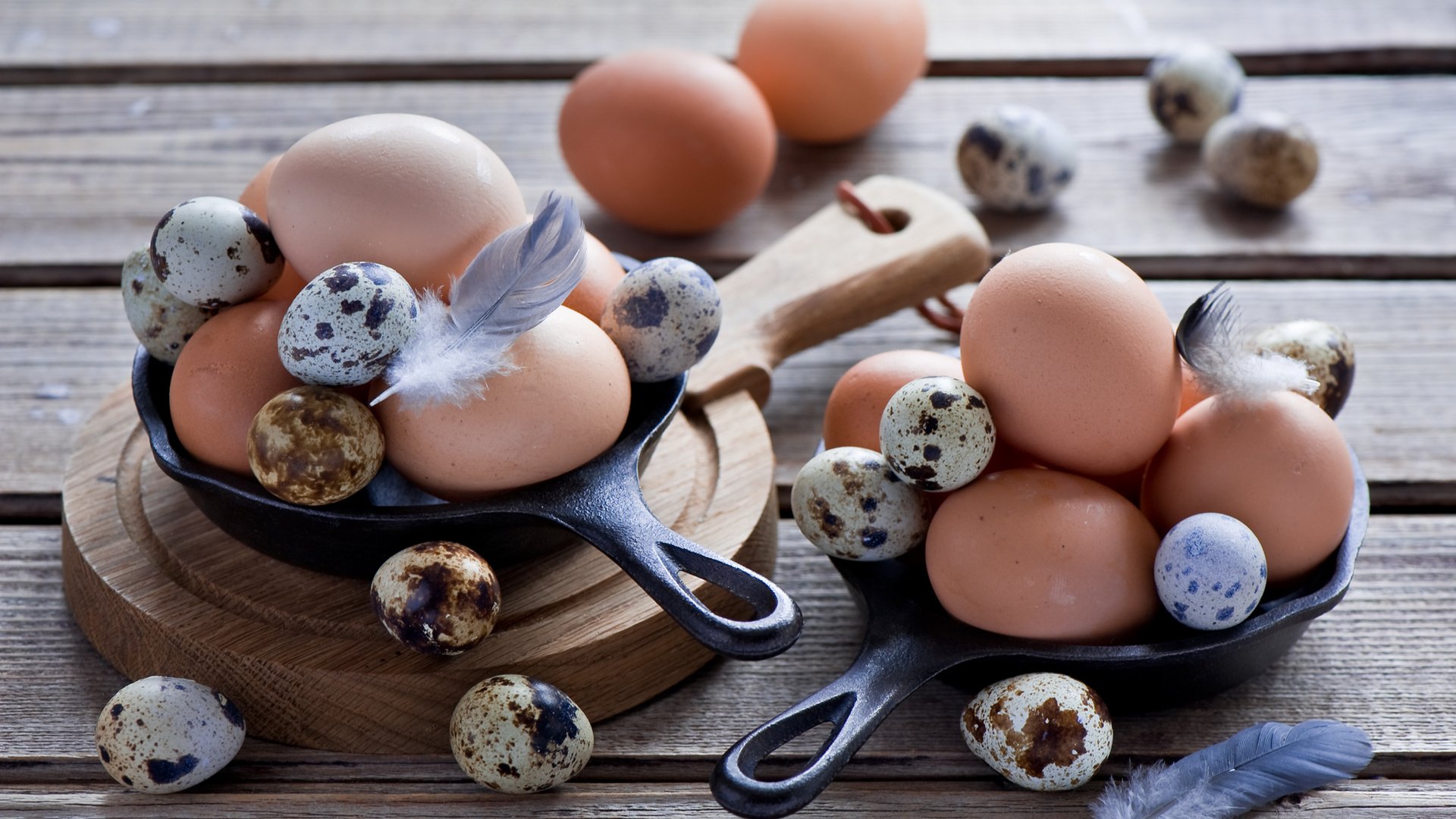 Обои яйца, куриные, anna verdina, перепелиные, яицо, eggs, chicken, quail, egg разрешение 2000x1331 Загрузить