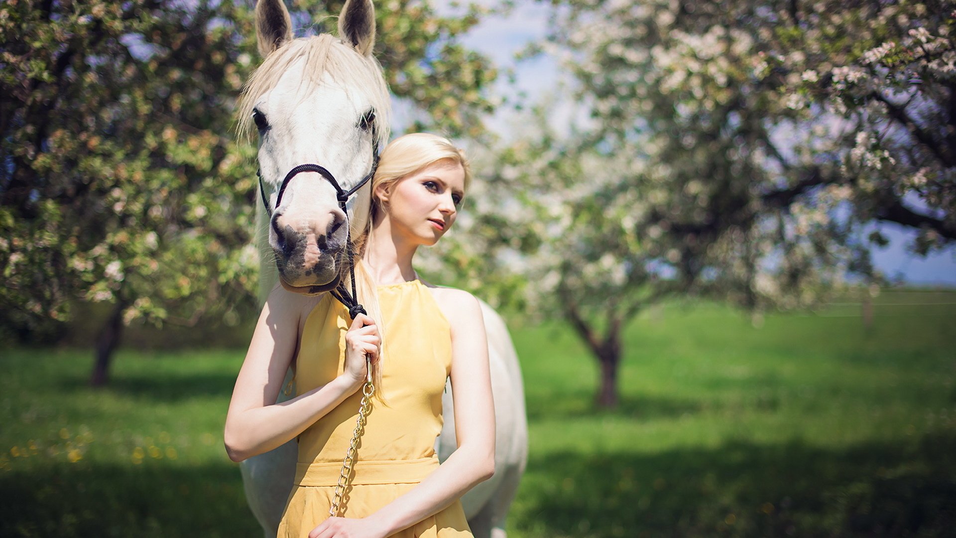 Обои лошадь, платье, блондинка, сад, horse, dress, blonde, garden разрешение 1920x1200 Загрузить