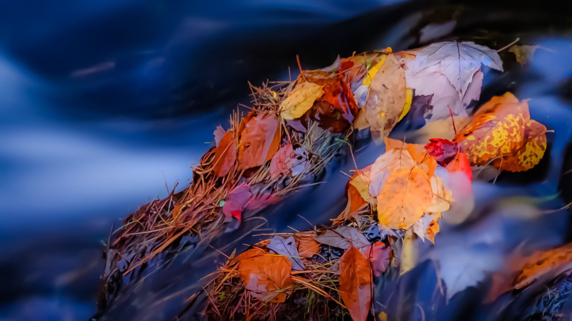 Обои река, камни, листья, ручей, осень, поток, осенние листья, river, stones, leaves, stream, autumn, autumn leaves разрешение 1931x1291 Загрузить