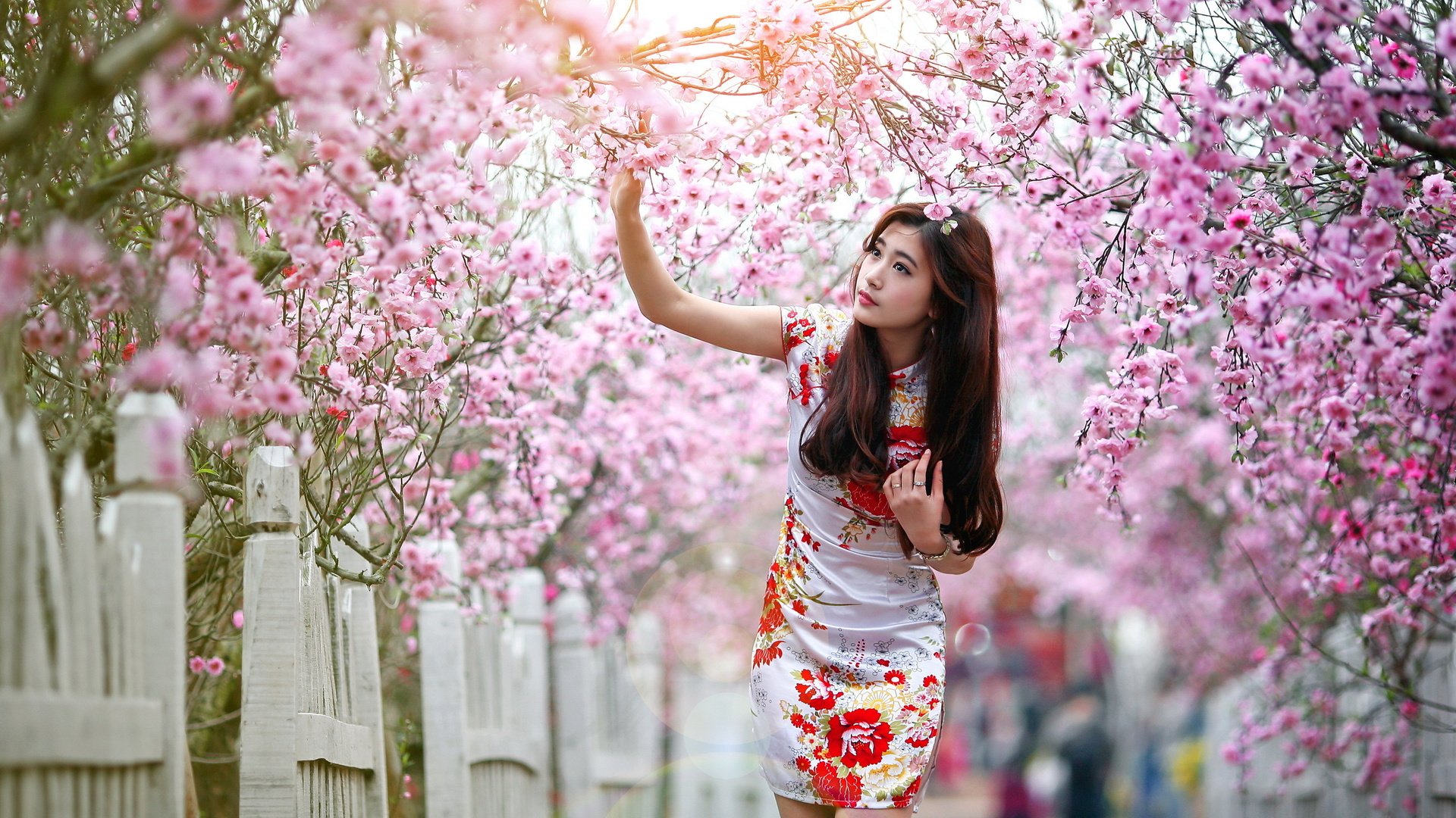 Обои девушка, забор, весна, сакура, азиатка, girl, the fence, spring, sakura, asian разрешение 2560x1600 Загрузить