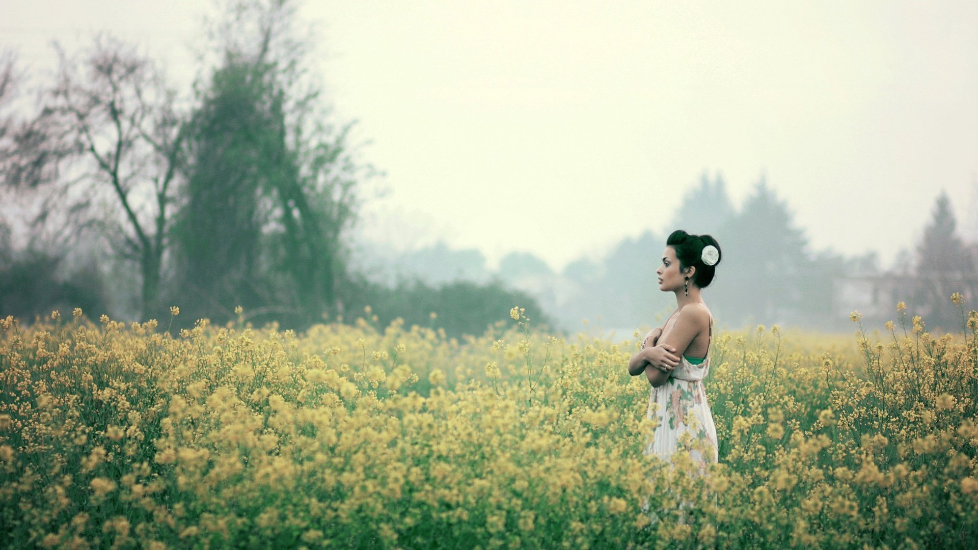 Обои цветы, трава, девушка, брюнетка, flowers, grass, girl, brunette разрешение 2048x1365 Загрузить