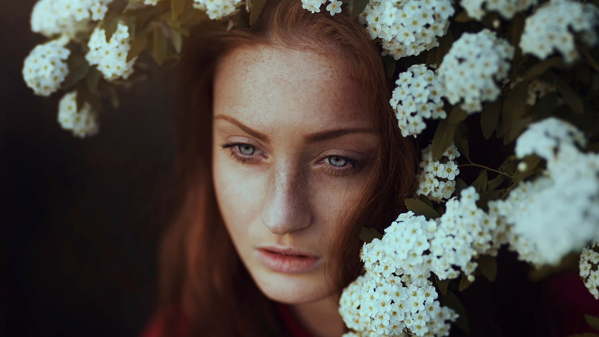 Обои цветы, макро, портрет, веснушки, ronny garcia, flowers, macro, portrait, freckles разрешение 2048x1365 Загрузить