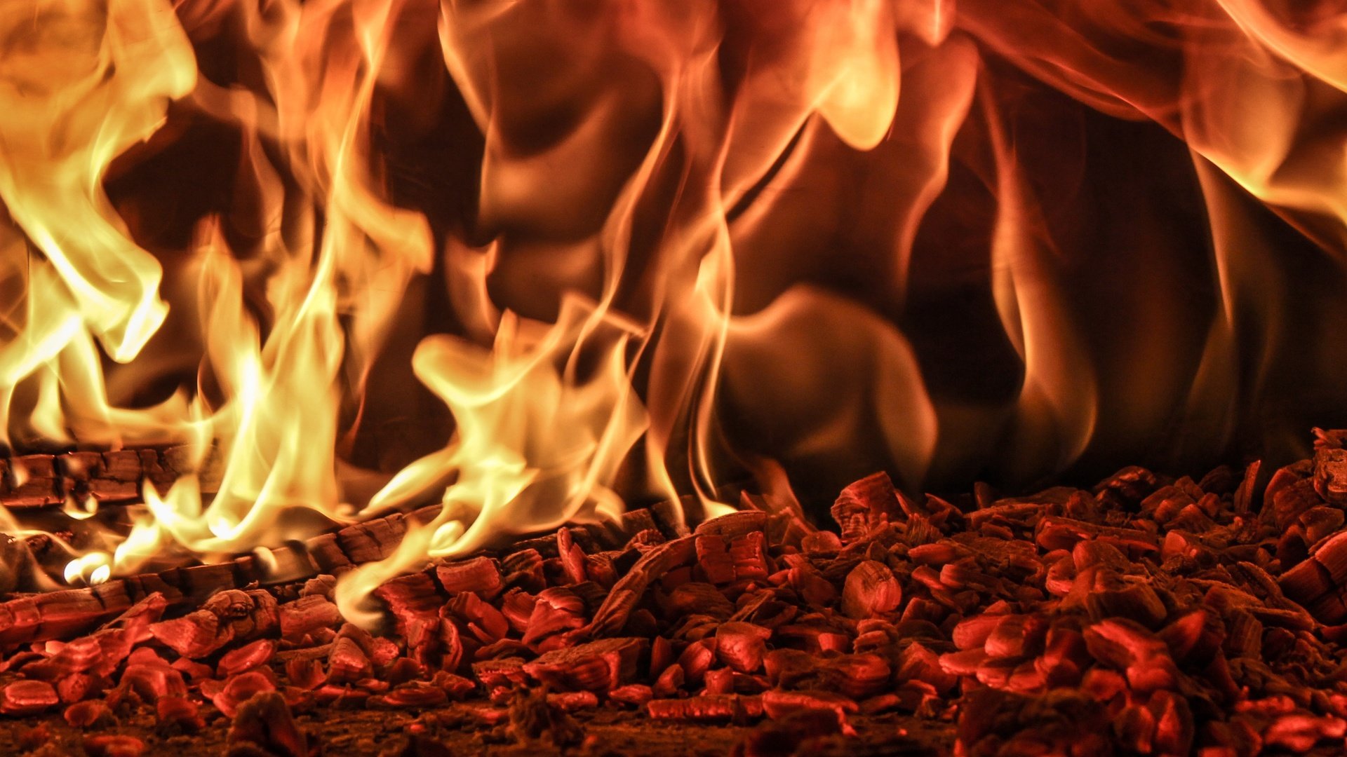 Обои пламя, огонь, угли, костёр, flame, fire, coal, the fire разрешение 3775x2366 Загрузить