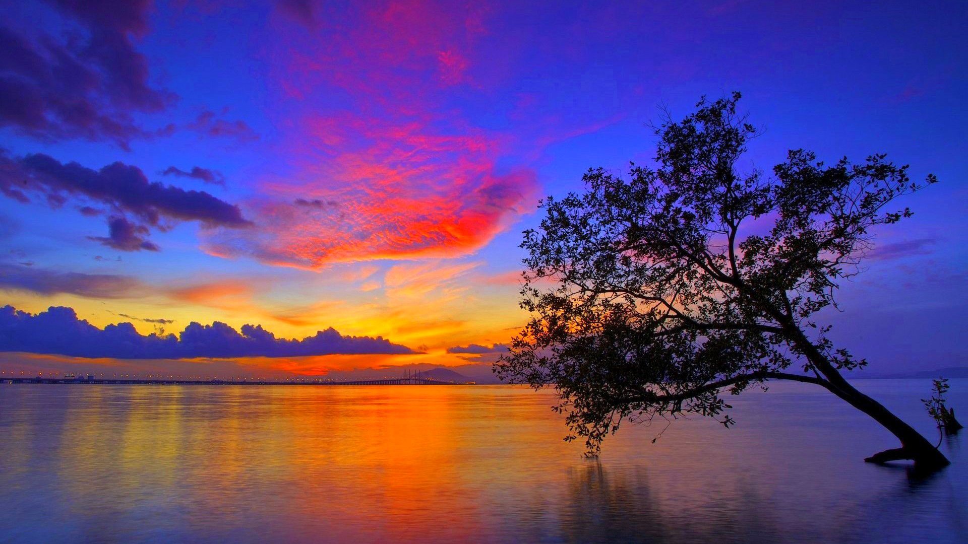 Обои небо, вечер, озеро, дерево, зарево, обьлака, the sky, the evening, lake, tree, glow, oblaka разрешение 1920x1200 Загрузить