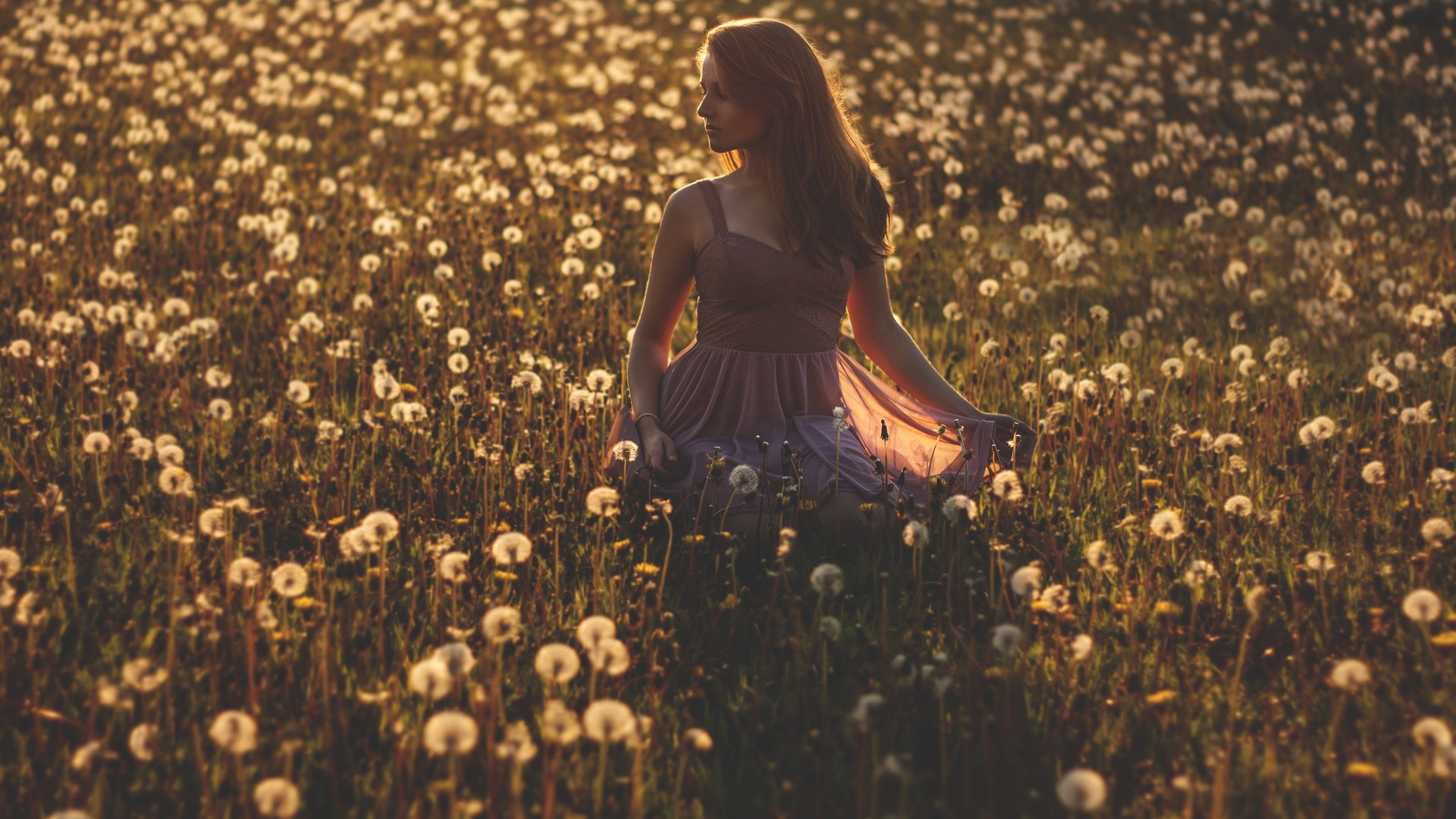 Обои цветы, девушка, платье, поле, одуванчики, flowers, girl, dress, field, dandelions разрешение 3708x2412 Загрузить