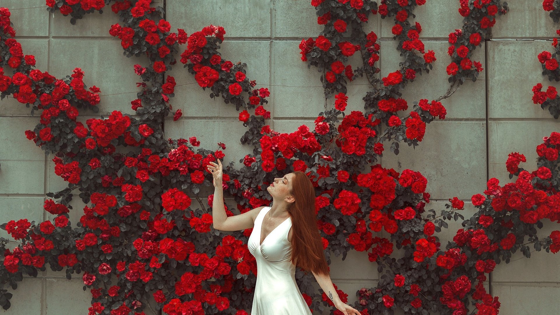 Обои цветы, девушка, платье, поза, стена, лицо, flowers, girl, dress, pose, wall, face разрешение 2048x1365 Загрузить