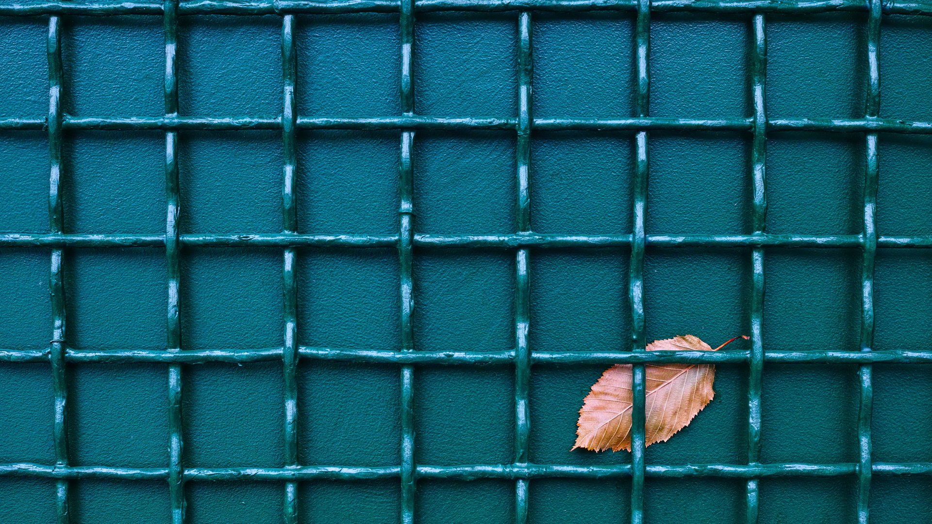 Обои фон, забор, лист, сетка, background, the fence, sheet, mesh разрешение 4483x2890 Загрузить