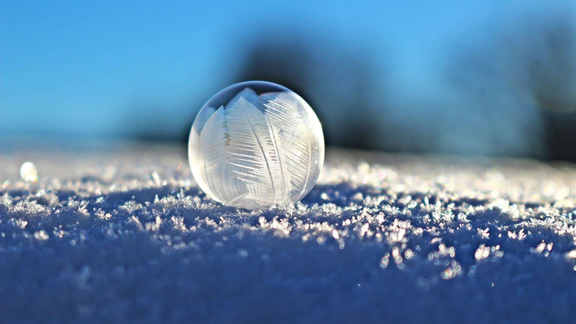 Обои мыльный пузырь, снег, eiskristalle, семка, зима, зимой, макро, шар, семки, макросъемка, пузырь, мыльный, мыло, snow, syomka, winter, in the winter, macro, ball, semyon, bubble, soap разрешение 5184x3456 Загрузить