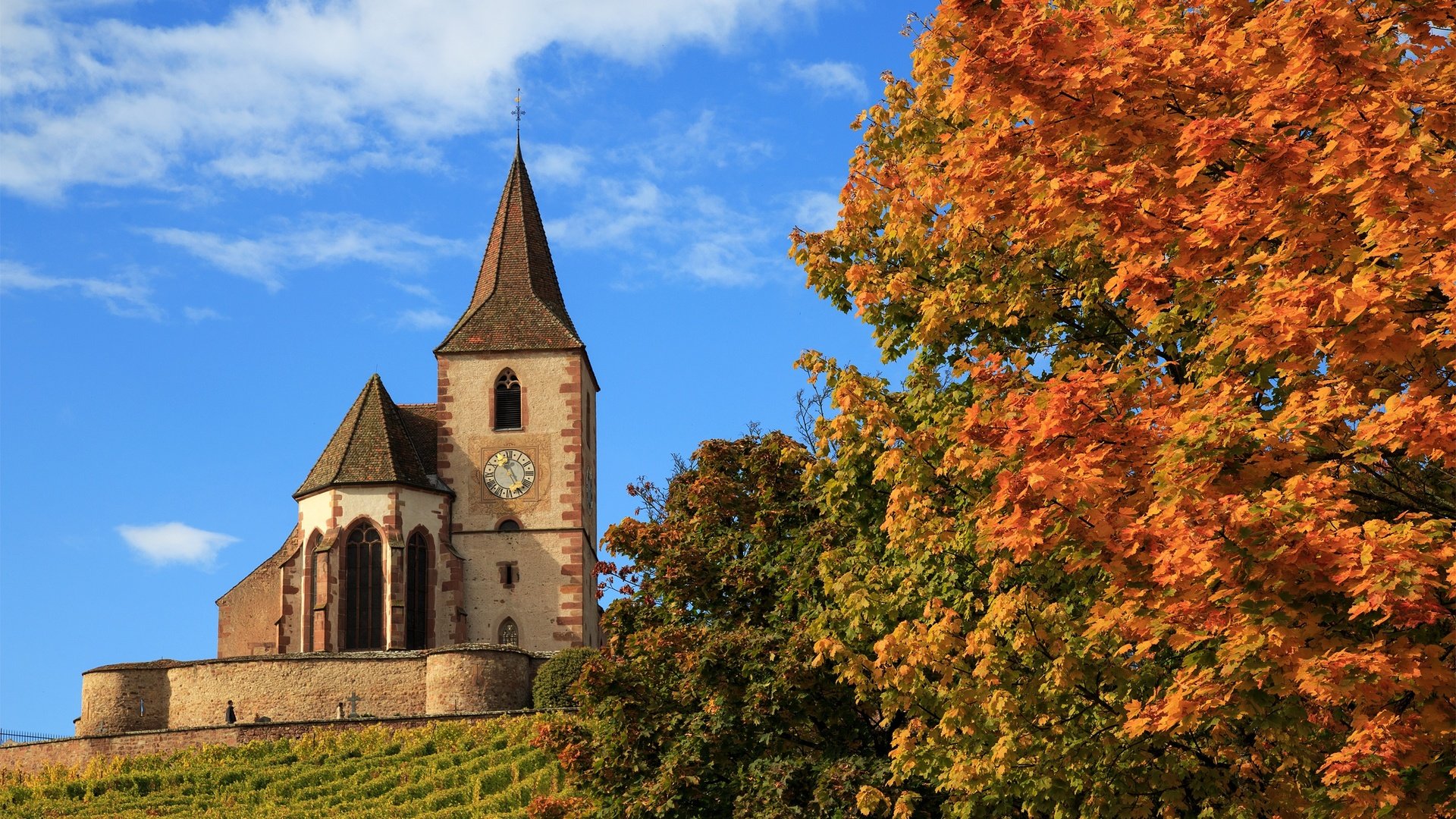 Обои деревья, осень, церковь, франция, hunawihr, church saint-jacques-le-majeur, церковь сен-жак-ле-мажёр, юнавир, trees, autumn, church, france, church of saint-jacques-le-mazher, the hunawihr разрешение 2500x1581 Загрузить