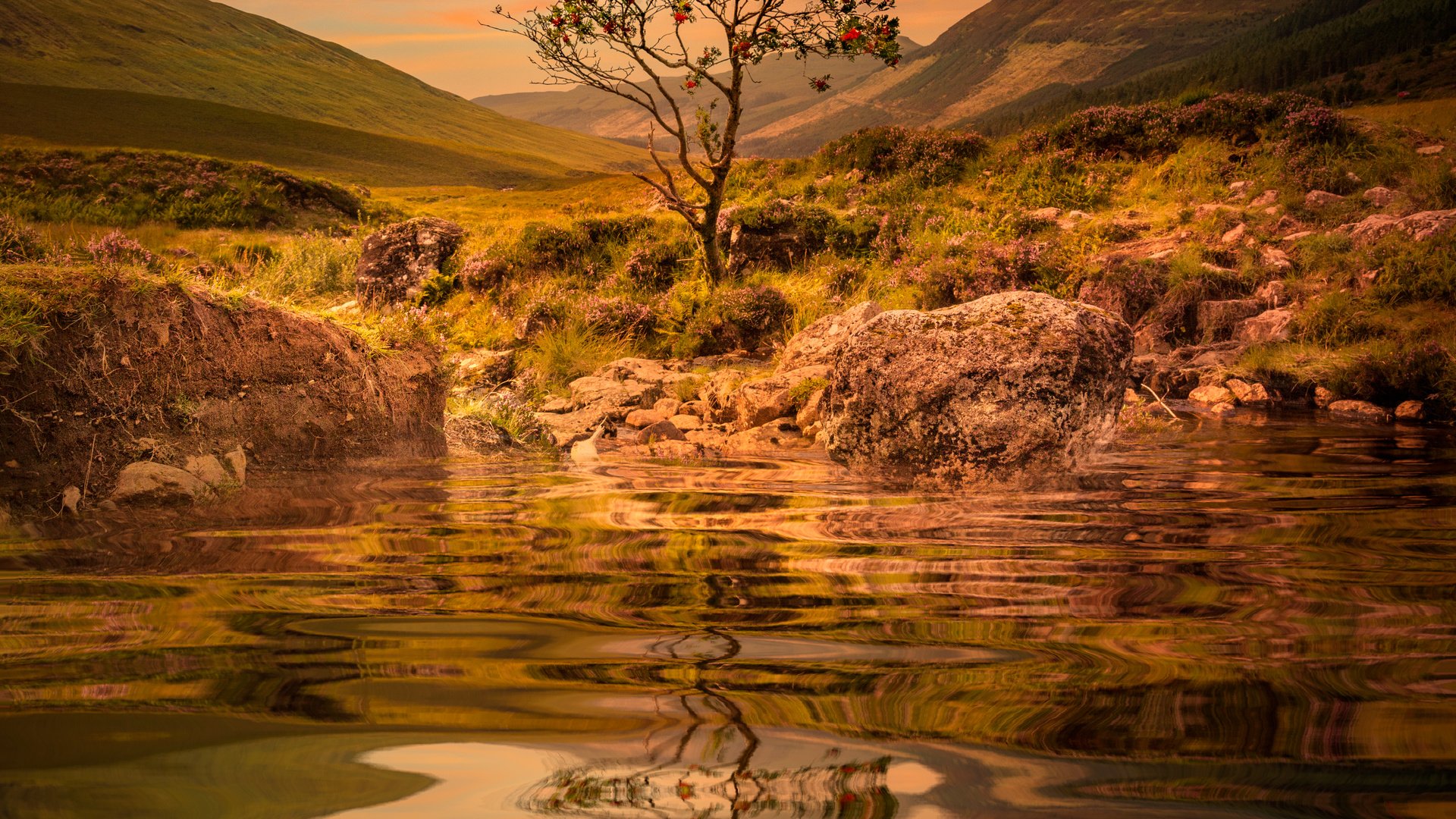 Обои вода, озеро, горы, дерево, закат, отражение, рябина, sophiaspurgin, water, lake, mountains, tree, sunset, reflection, rowan разрешение 4470x4470 Загрузить