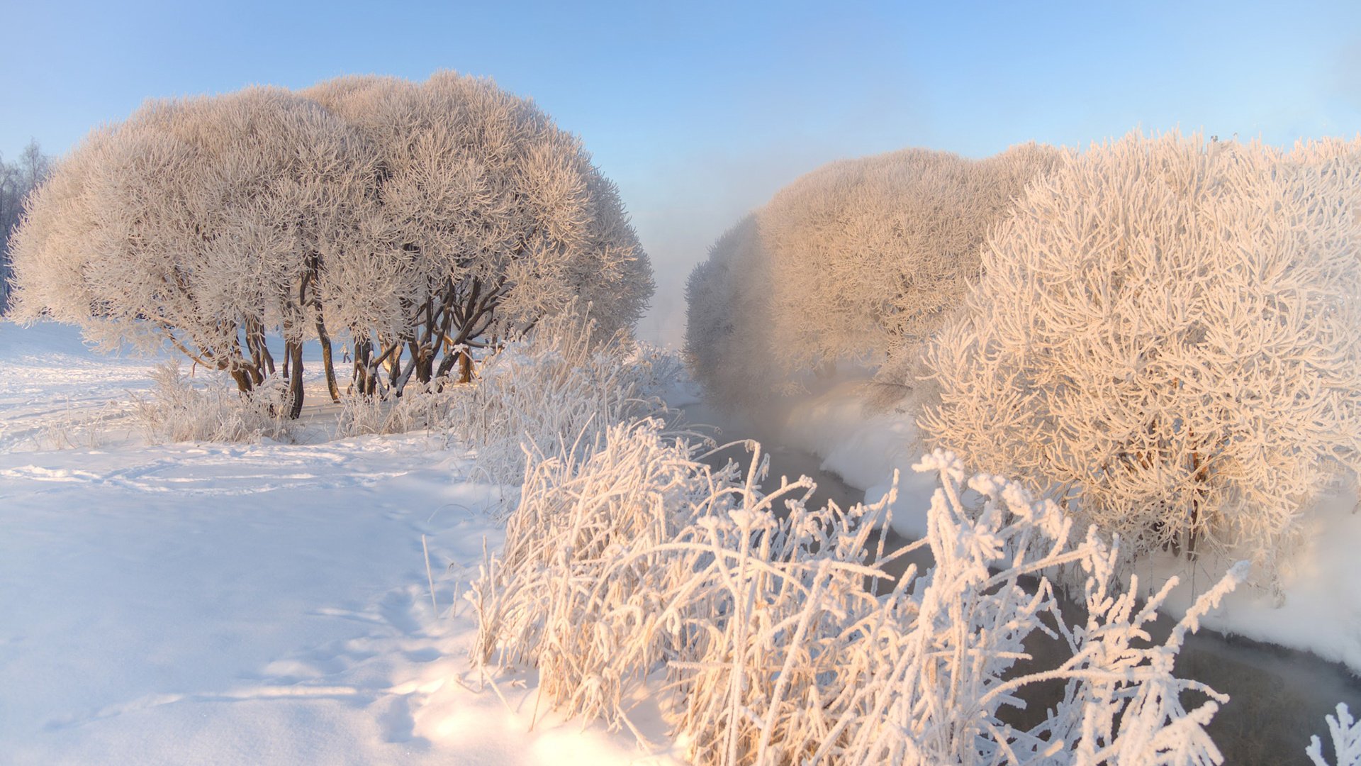 Обои небо, деревья, снег, природа, зима, мороз, иней, эдуард гордеев, the sky, trees, snow, nature, winter, frost, eduard gordeev разрешение 1920x1200 Загрузить