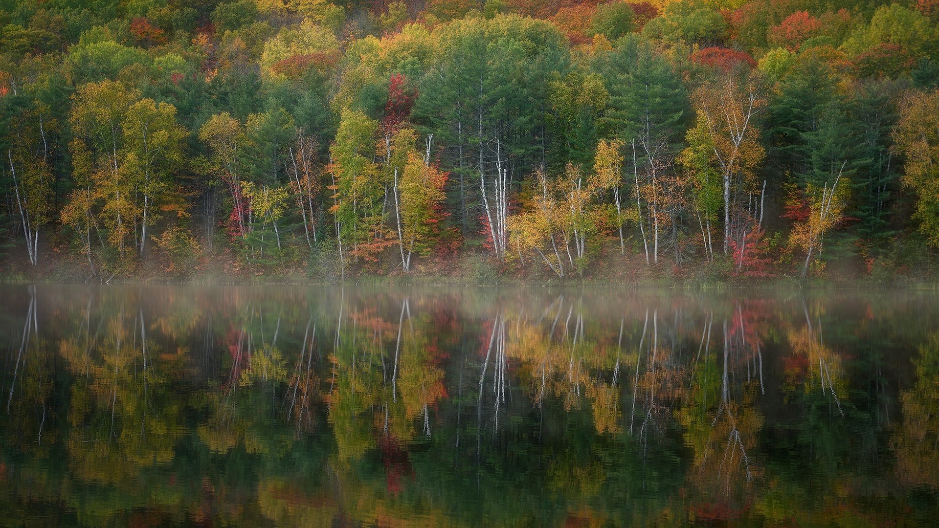 Обои озеро, лес, осень, lake, forest, autumn разрешение 2048x1268 Загрузить