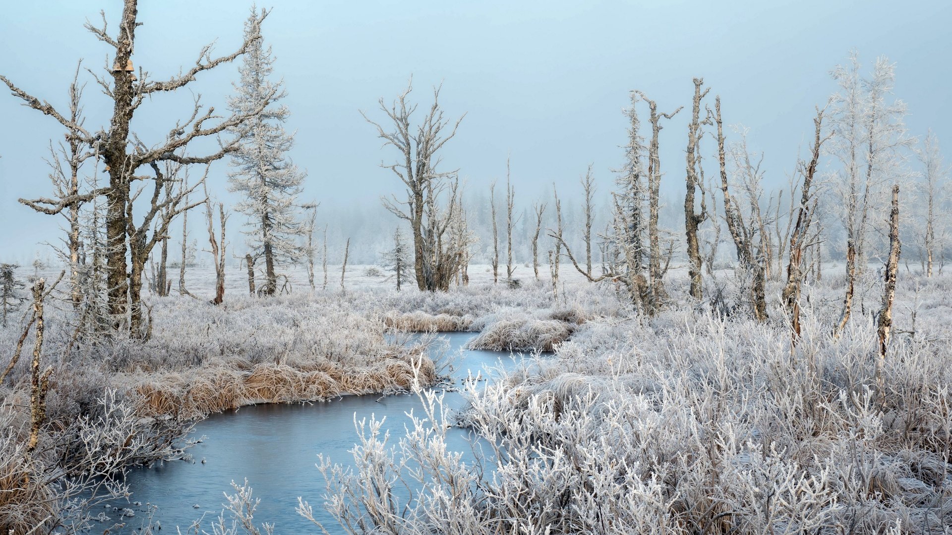 Обои река, зима, иней, river, winter, frost разрешение 3840x2160 Загрузить