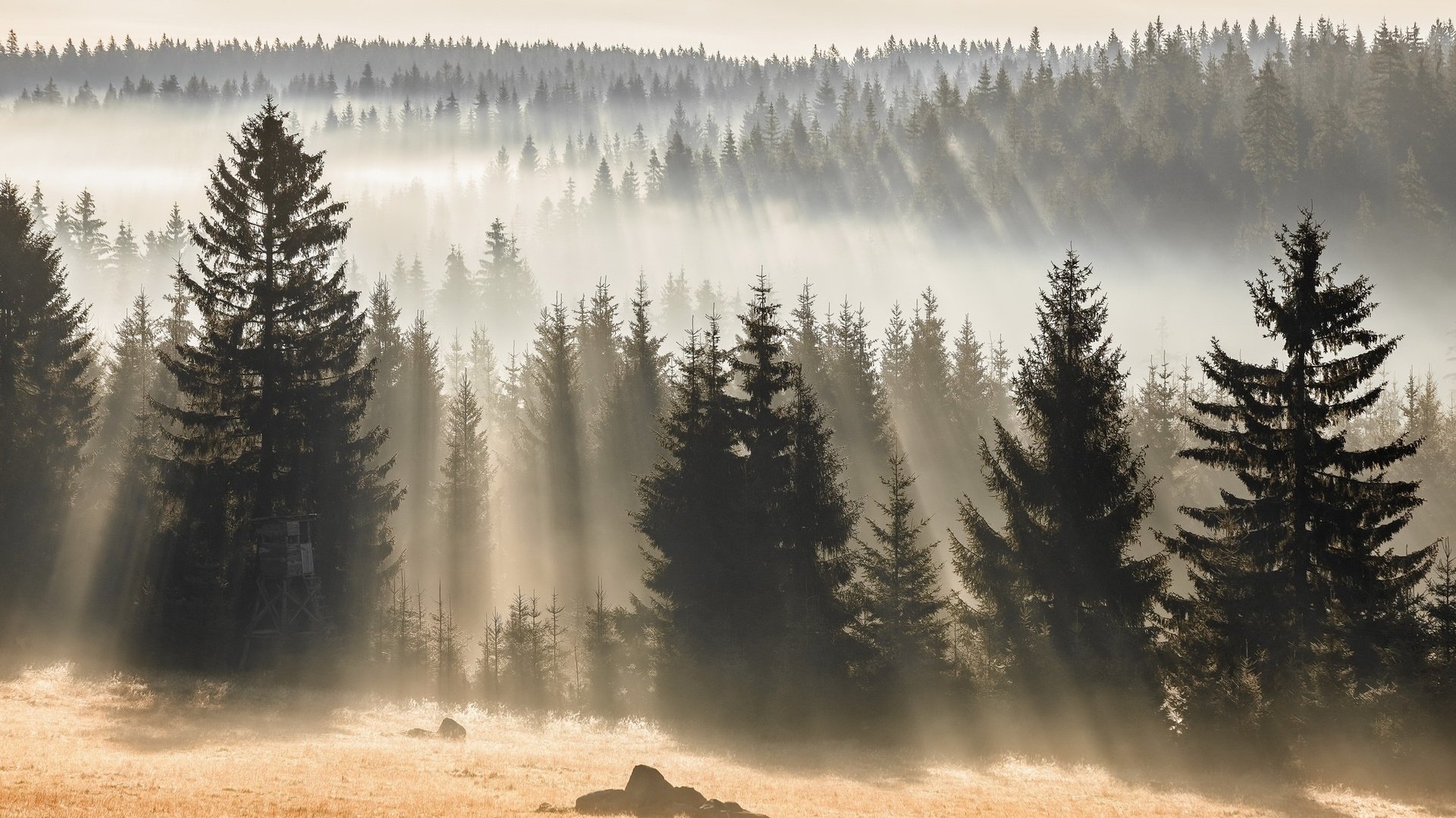 Обои лес, осень, forest, autumn разрешение 2048x1363 Загрузить