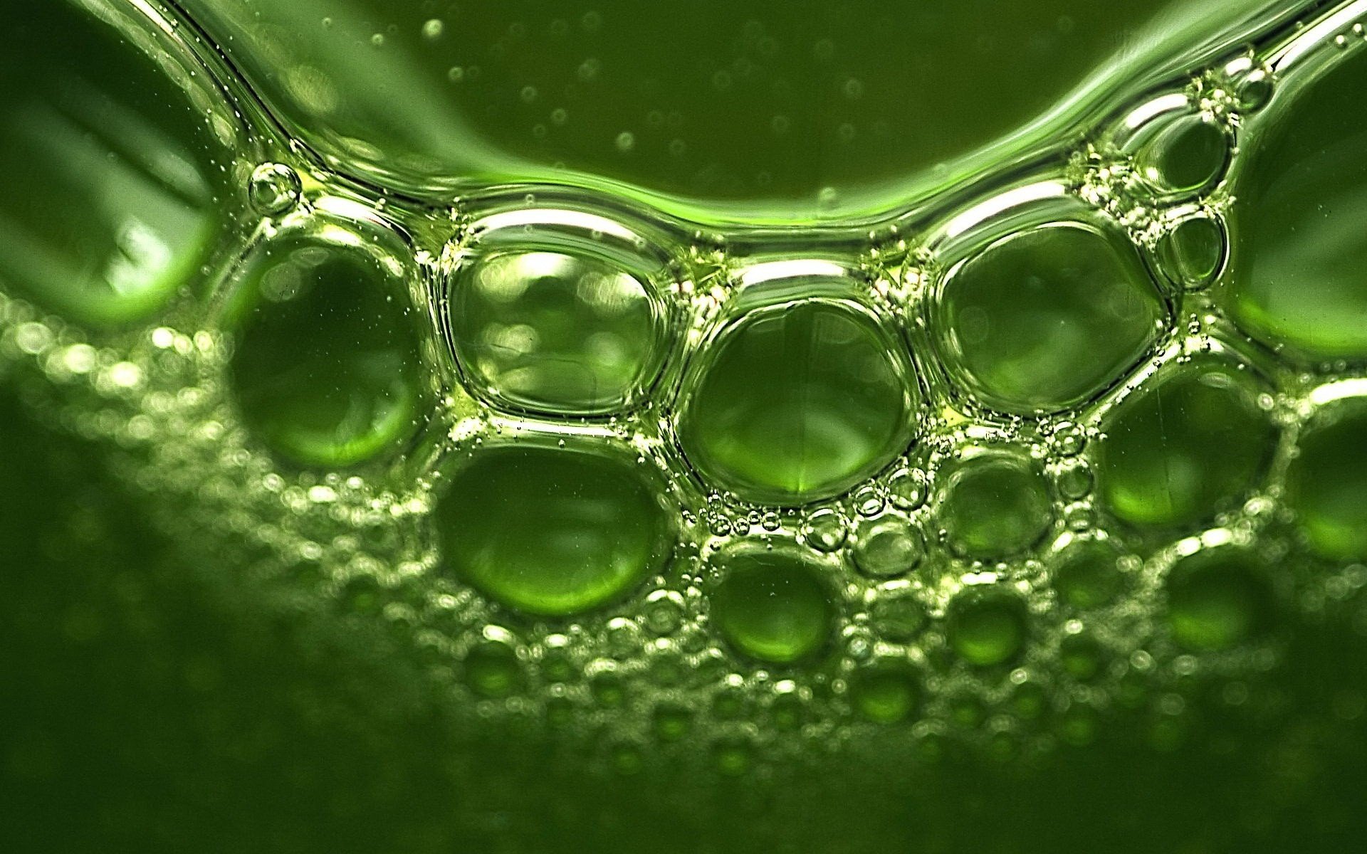 Обои зелень, отражение, пузыри, greens, reflection, bubbles разрешение 1920x1440 Загрузить