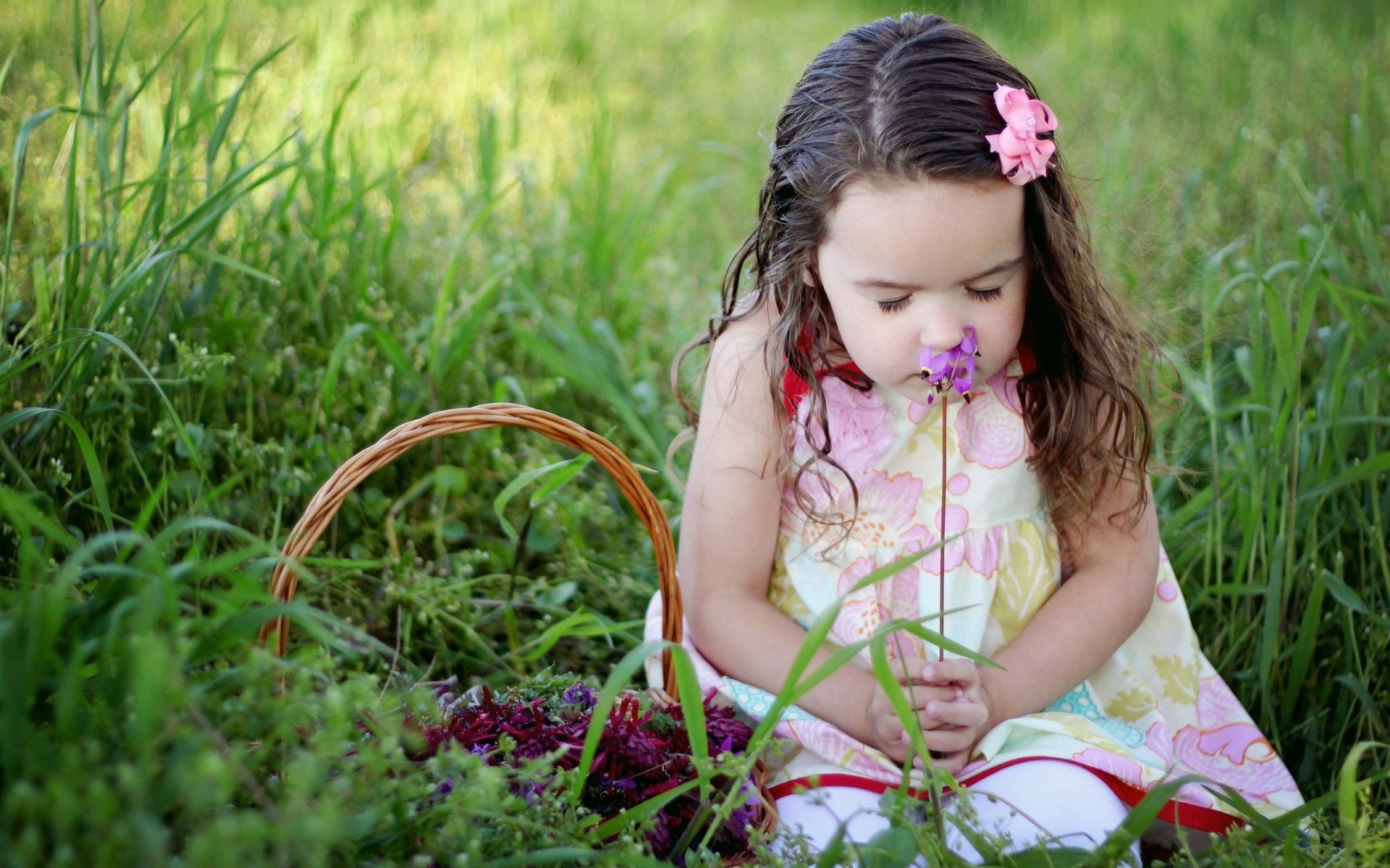 Обои трава, настроение, цветок, дети, девочка, корзинка, grass, mood, flower, children, girl, basket разрешение 2048x1365 Загрузить