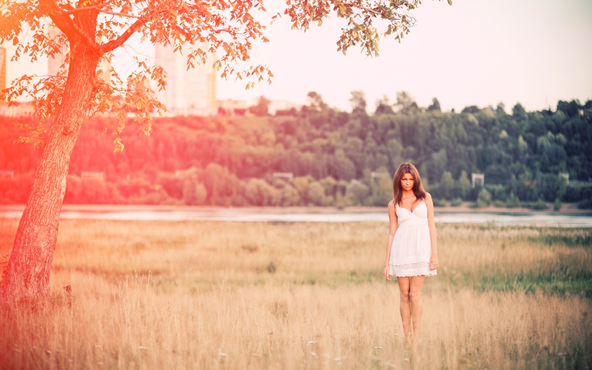 Обои природа, девушка, платье, поле, лето, nature, girl, dress, field, summer разрешение 4256x2832 Загрузить