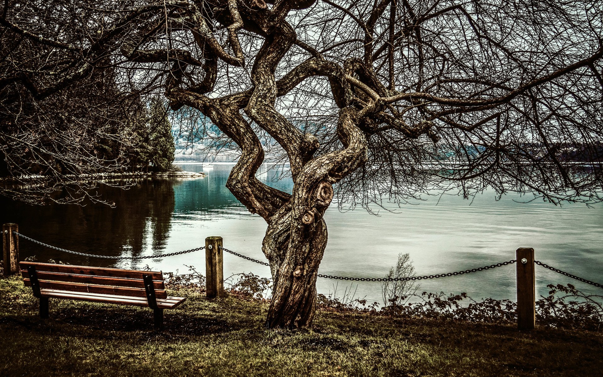 Обои дерево, море, скамья, tree, sea, bench разрешение 5625x3740 Загрузить