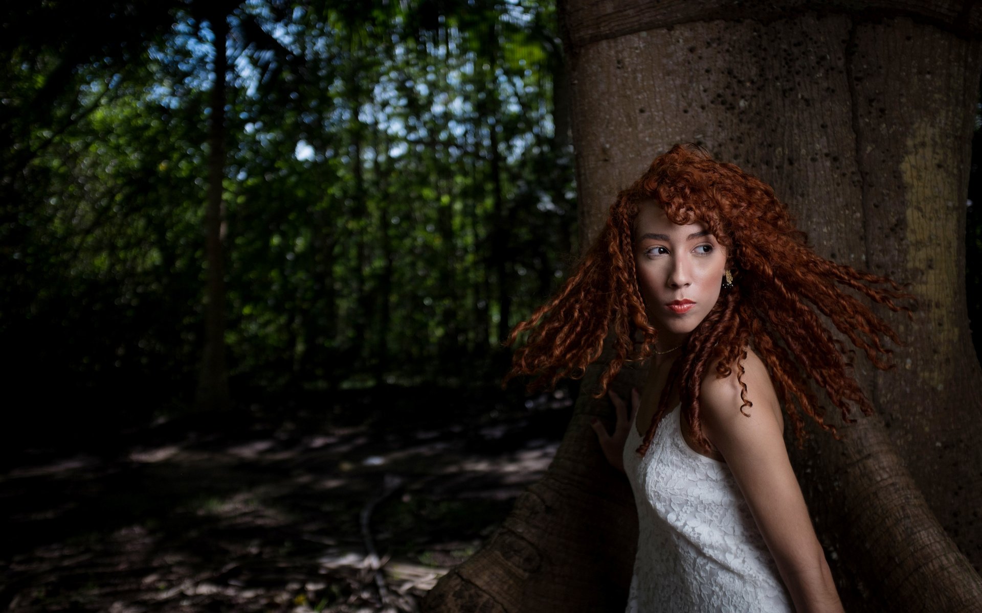 Обои природа, дерево, девушка, рыжеволосая, nature, tree, girl, redhead разрешение 4896x3264 Загрузить