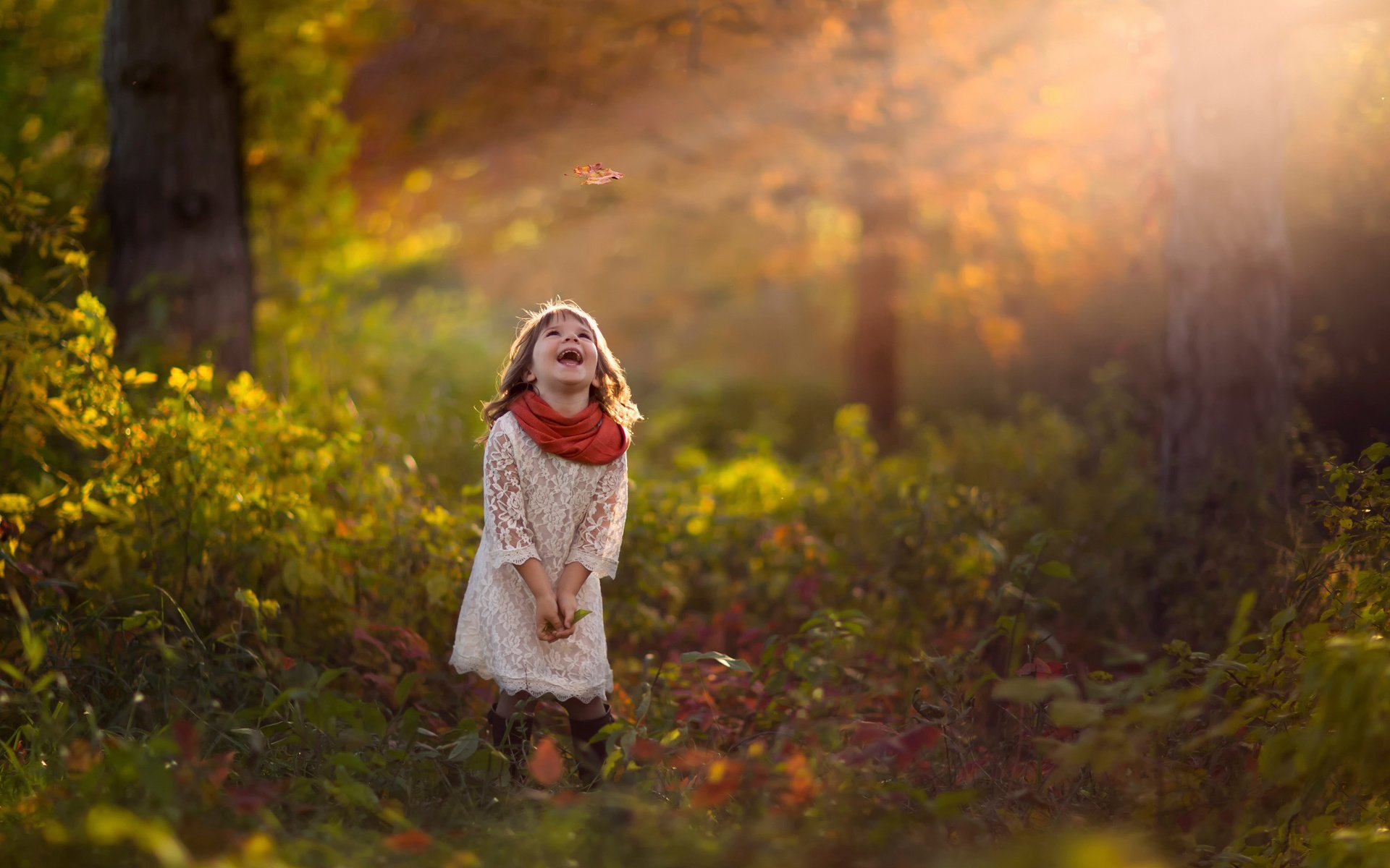 Обои лес, осень, девочка, лист, смех, forest, autumn, girl, sheet, laughter разрешение 2048x1455 Загрузить