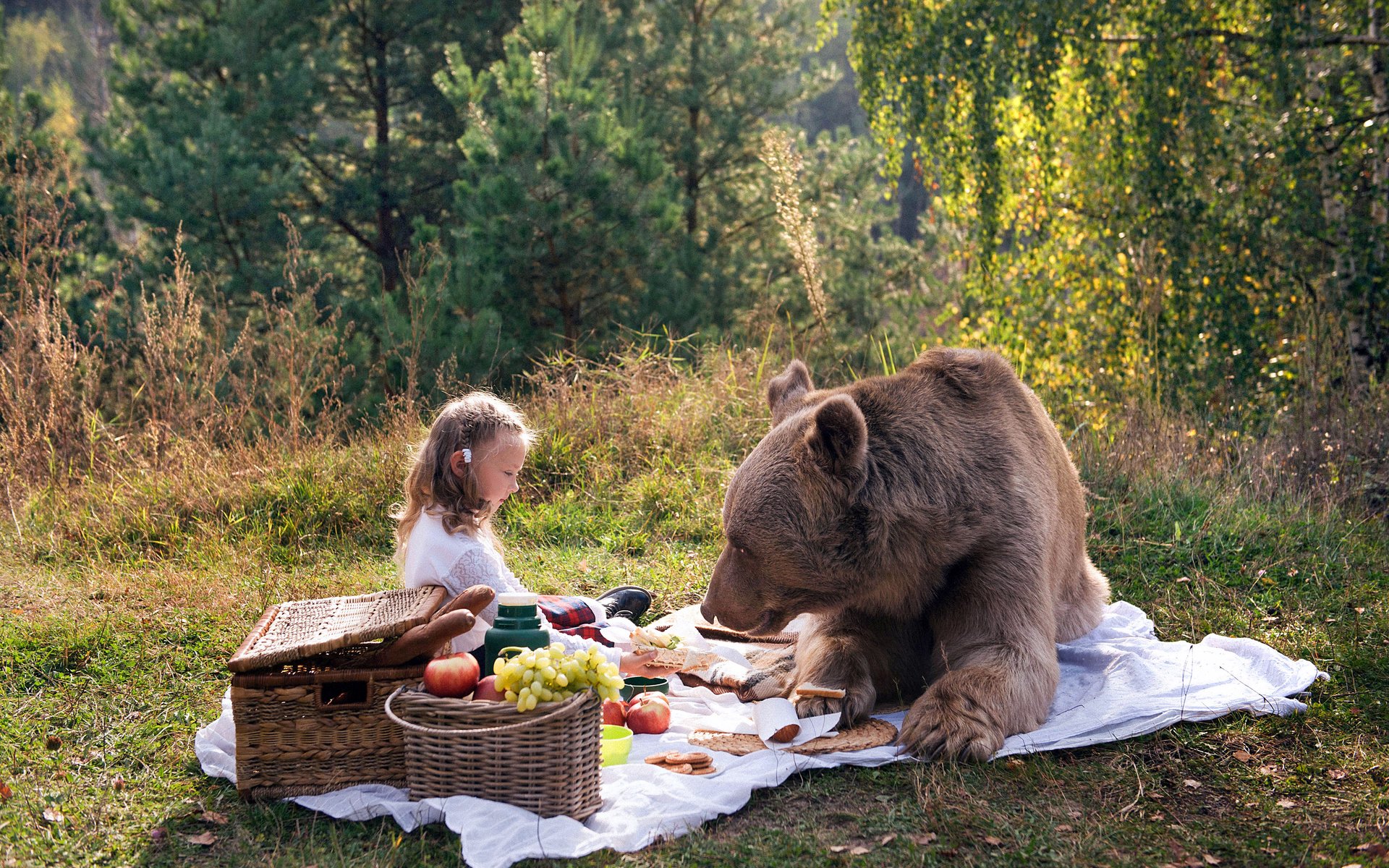 Обои природа, медведь, девочка, пикник, маша и медведь, nature, bear, girl, picnic, masha and the bear разрешение 4252x2835 Загрузить